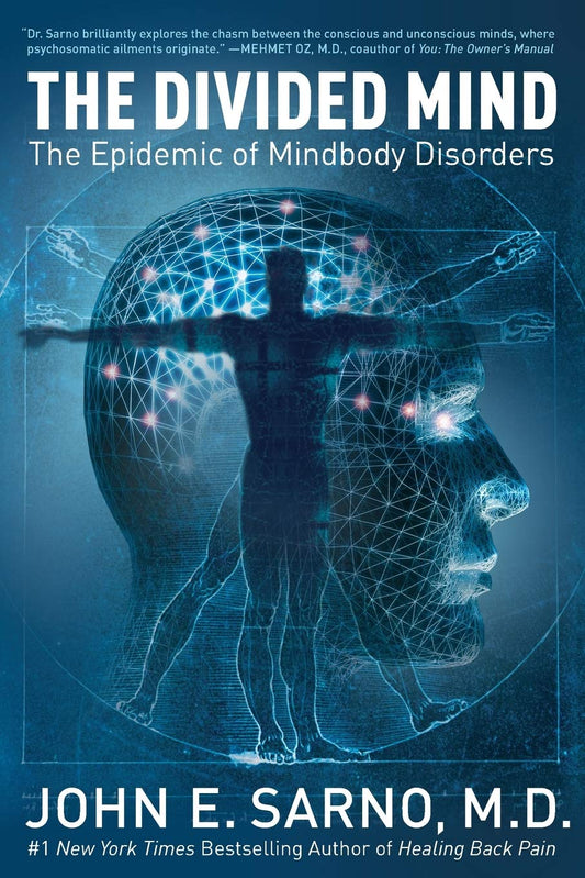 The Divided Mind: The Epidemic of Mindbody Disorders The Happy Book Stack