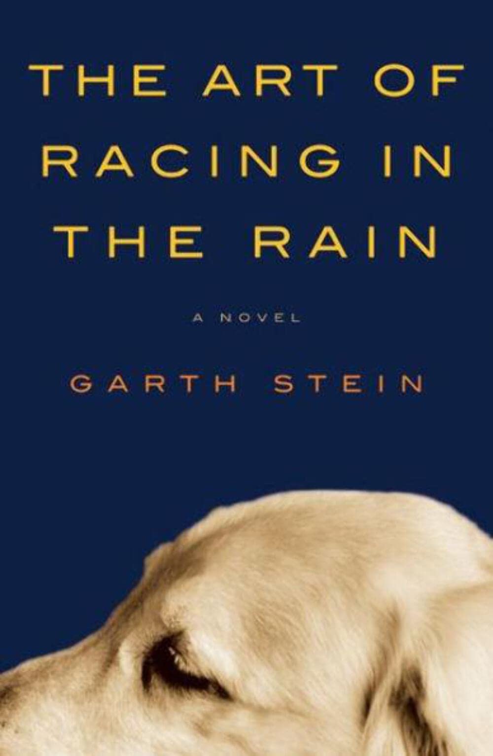 The Art of Racing in the Rain The Happy Book Stack