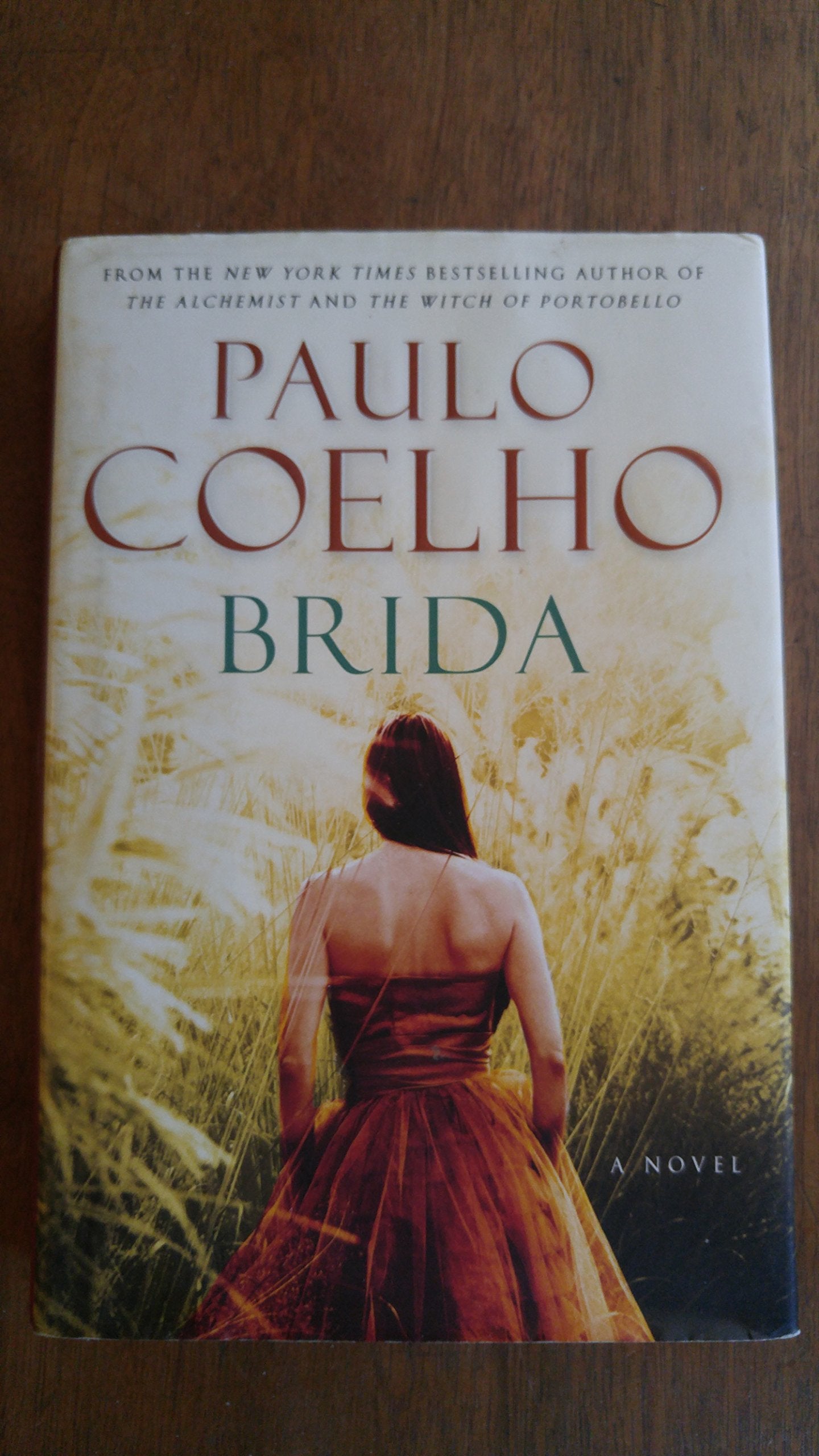 Brida: A Novel The Happy Book Stack