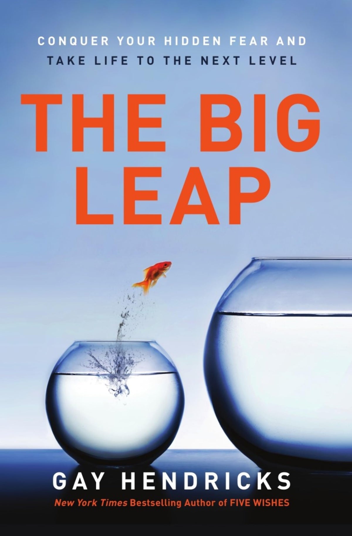The Big Leap: Conquer Your Hidden Fear and Take Life to the Next Level―A Transformative Guide to Overcoming Fears and False Beliefs for Personal Growth and Success The Happy Book Stack