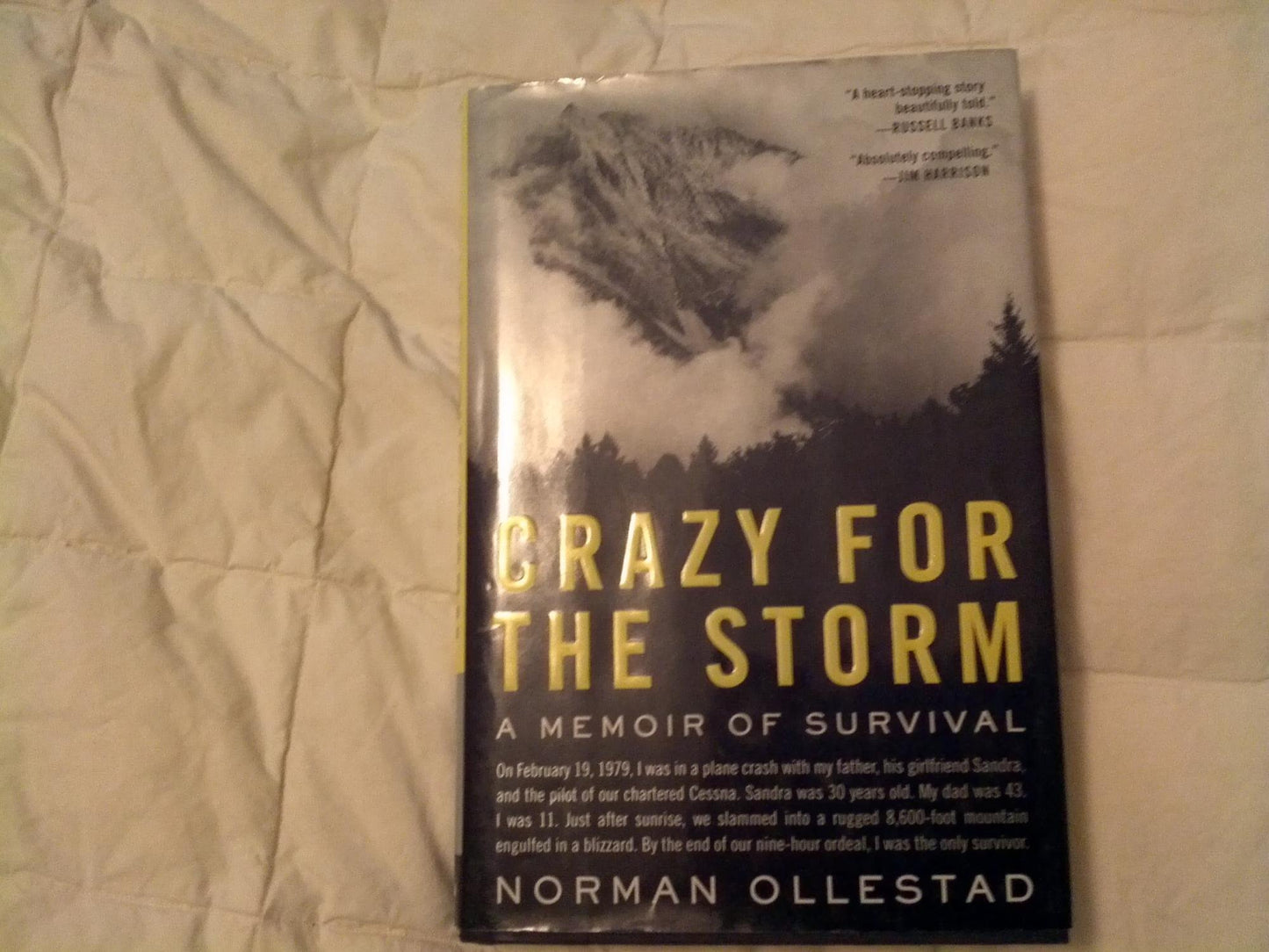Crazy for the Storm: A Memoir of Survival The Happy Book Stack