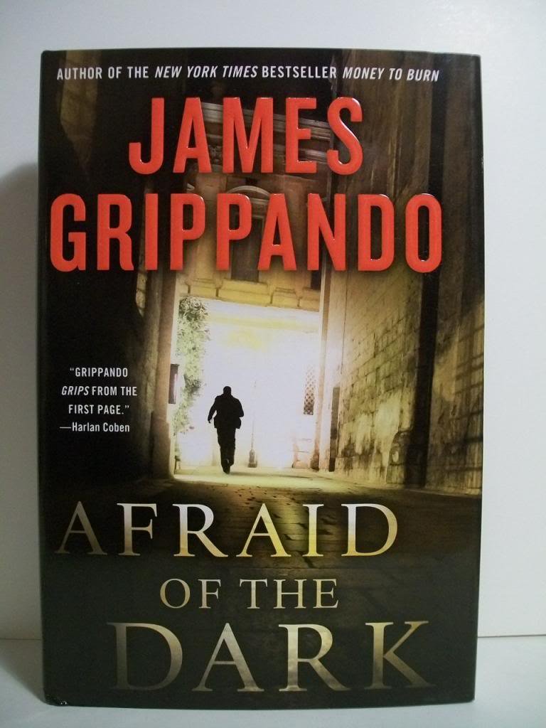 Afraid of the Dark (Jack Swyteck Novel) The Happy Book Stack