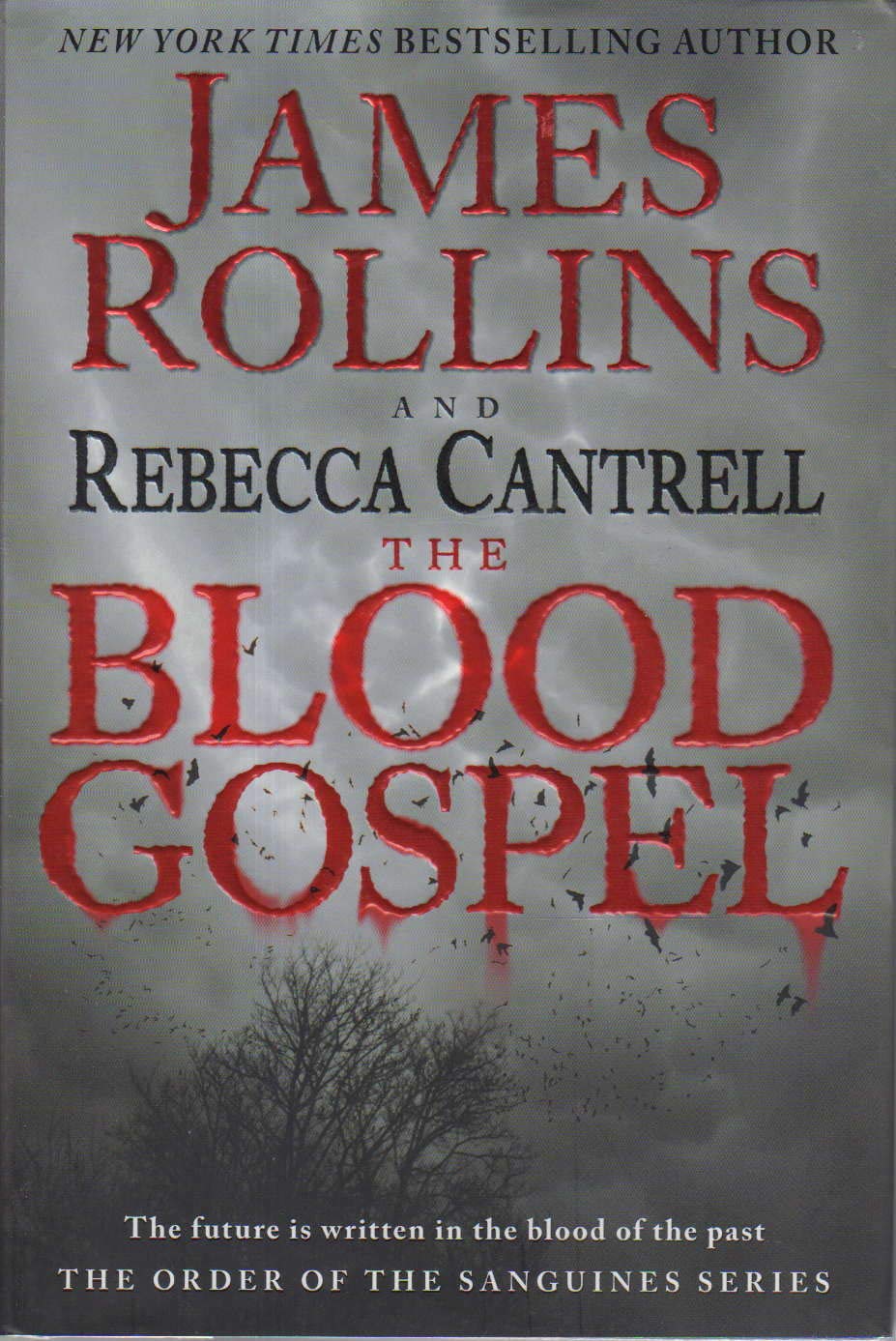 The Blood Gospel: The Order of the Sanguines Series The Happy Book Stack