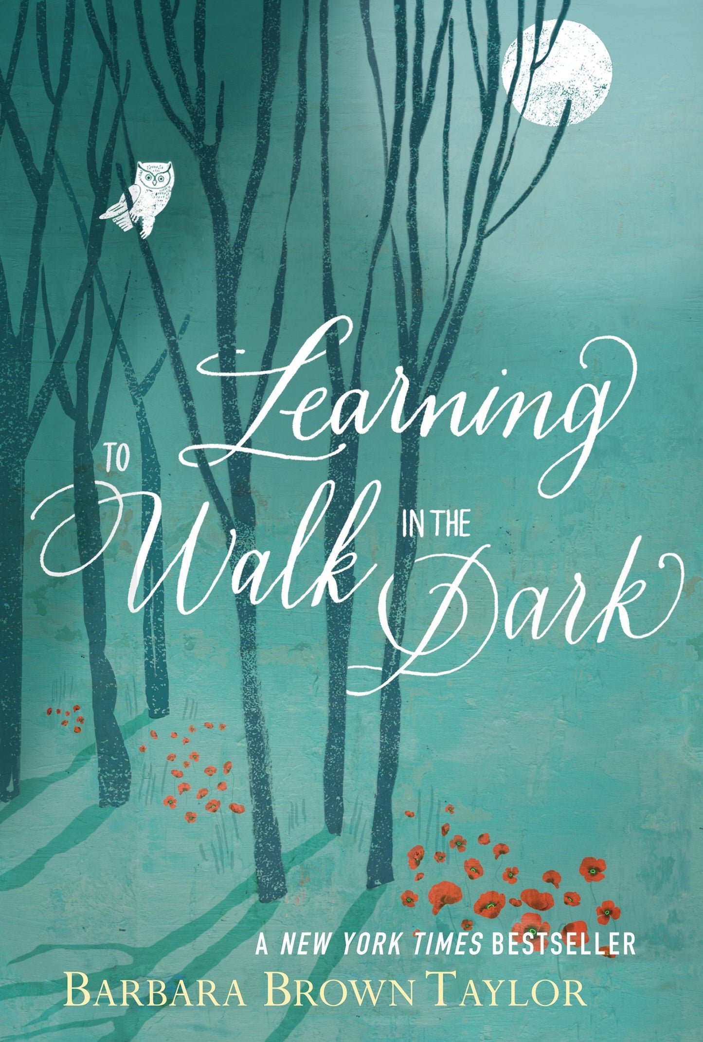 Learning to Walk in the Dark - 9468