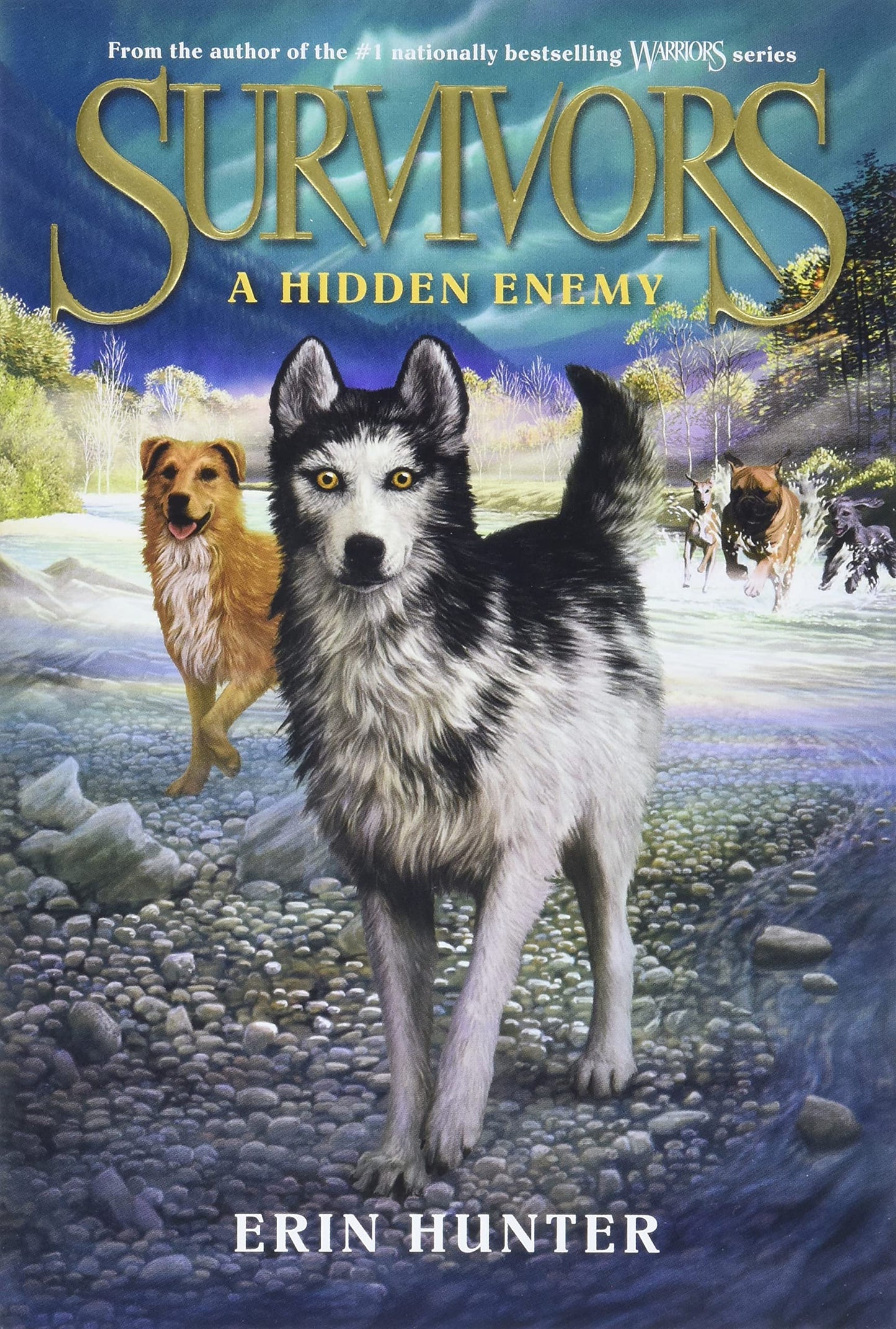 Survivors #2: A Hidden Enemy The Happy Book Stack