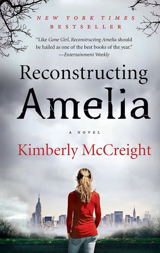 Reconstructing Amelia: A Novel - 1563