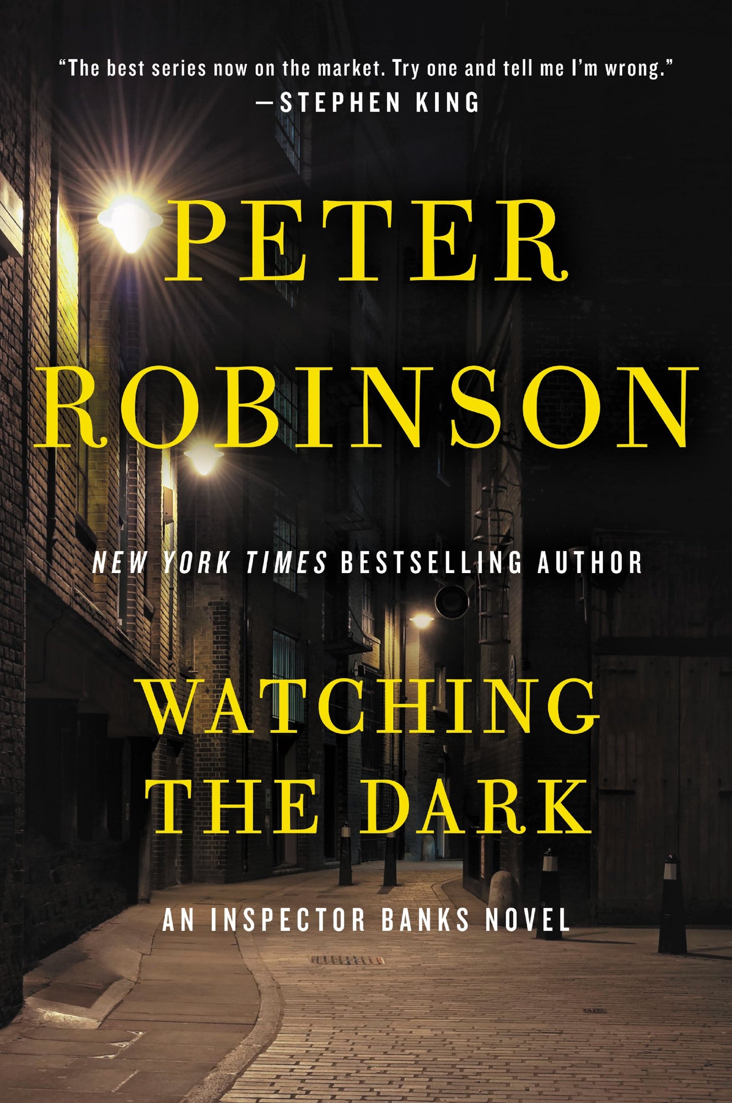 Watching the Dark: A Twisting International Detective Mystery Linking Murder to Dangerous Cold Case Secrets (Inspector Banks Novels, 20) The Happy Book Stack