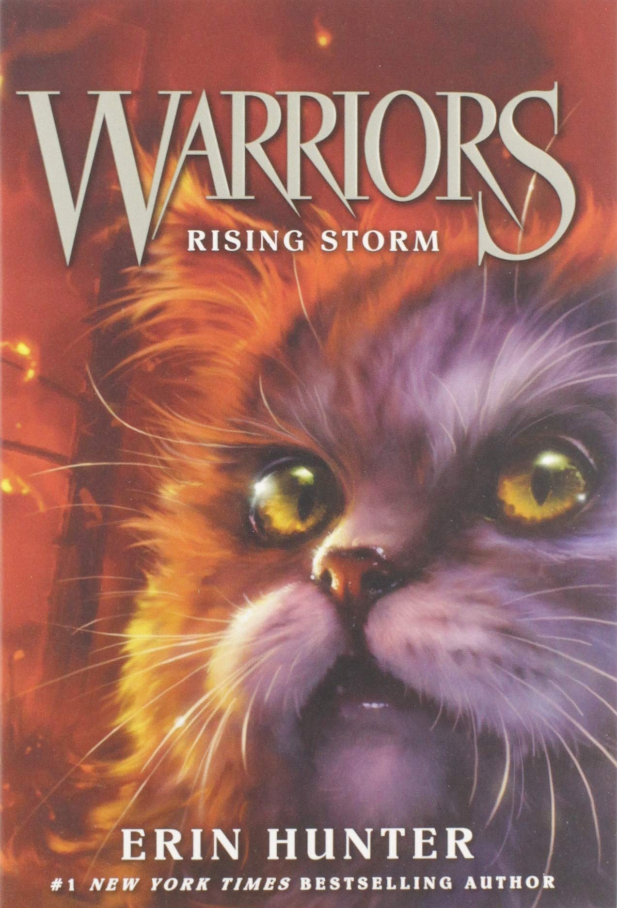 Warriors #4: Rising Storm (Warriors: The Prophecies Begin, 4) The Happy Book Stack
