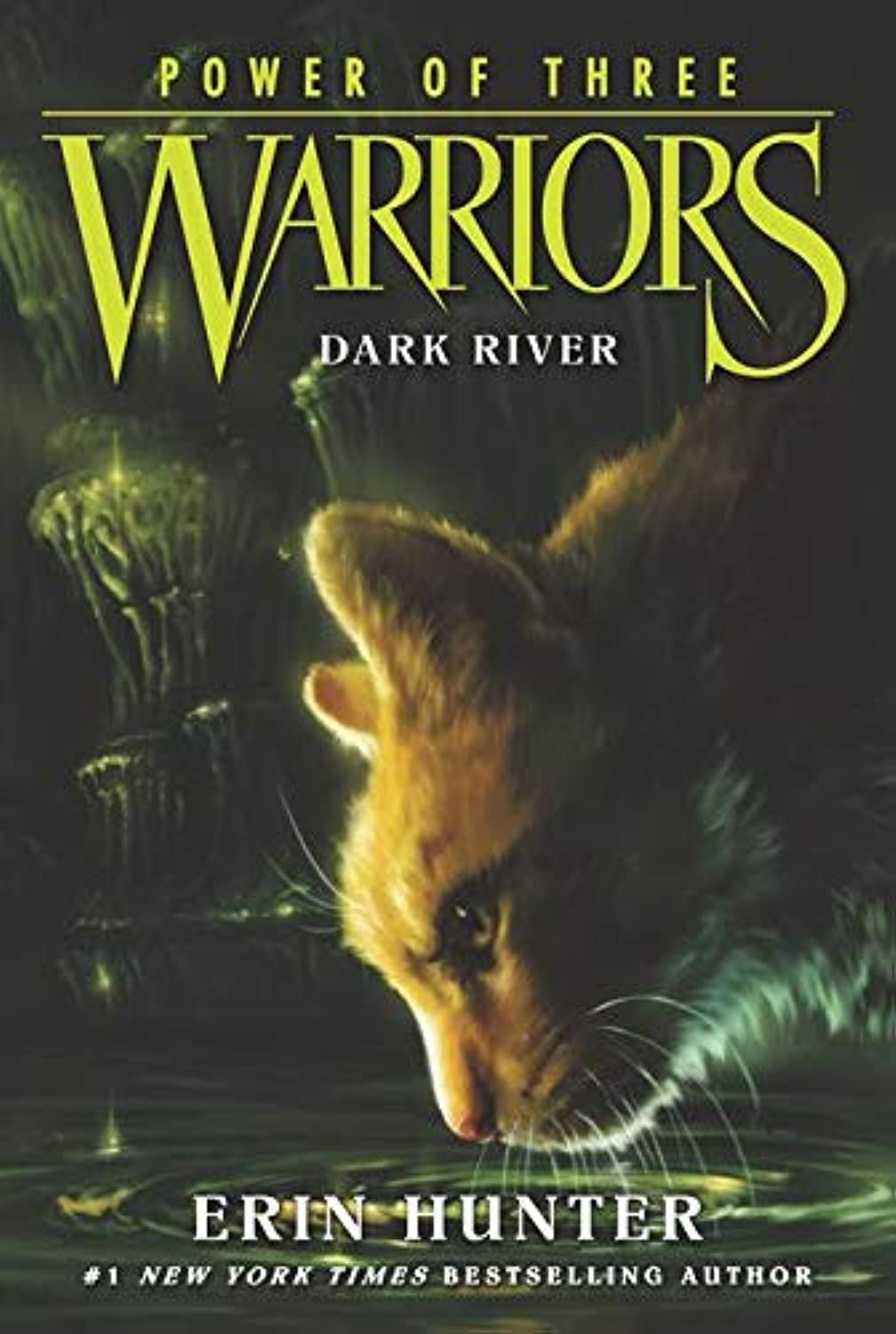 Warriors: Power of Three #2: Dark River The Happy Book Stack