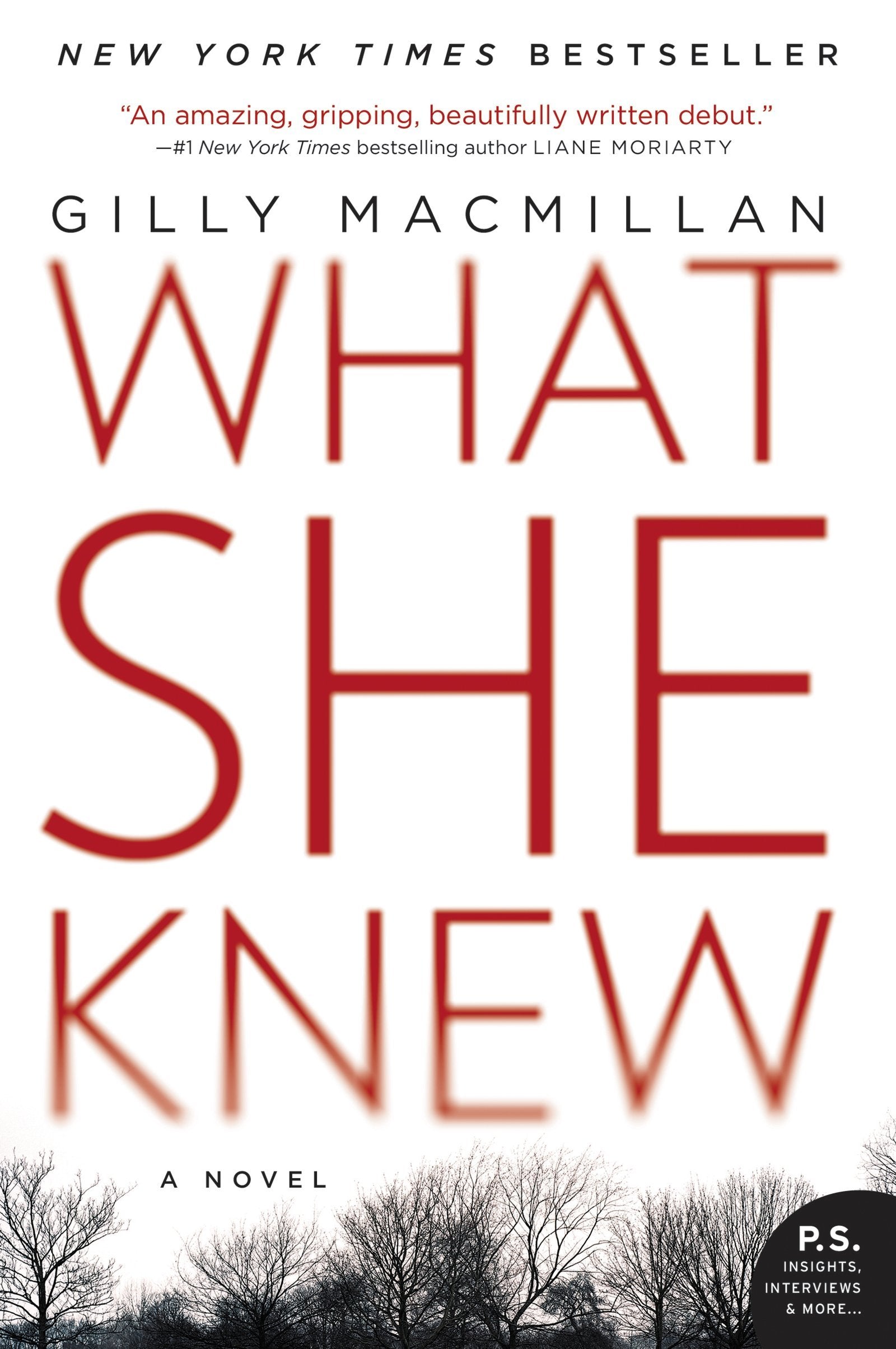 What She Knew: A British Domestic Thriller Where Kidnapping Reveals Deadly Family Secrets The Happy Book Stack