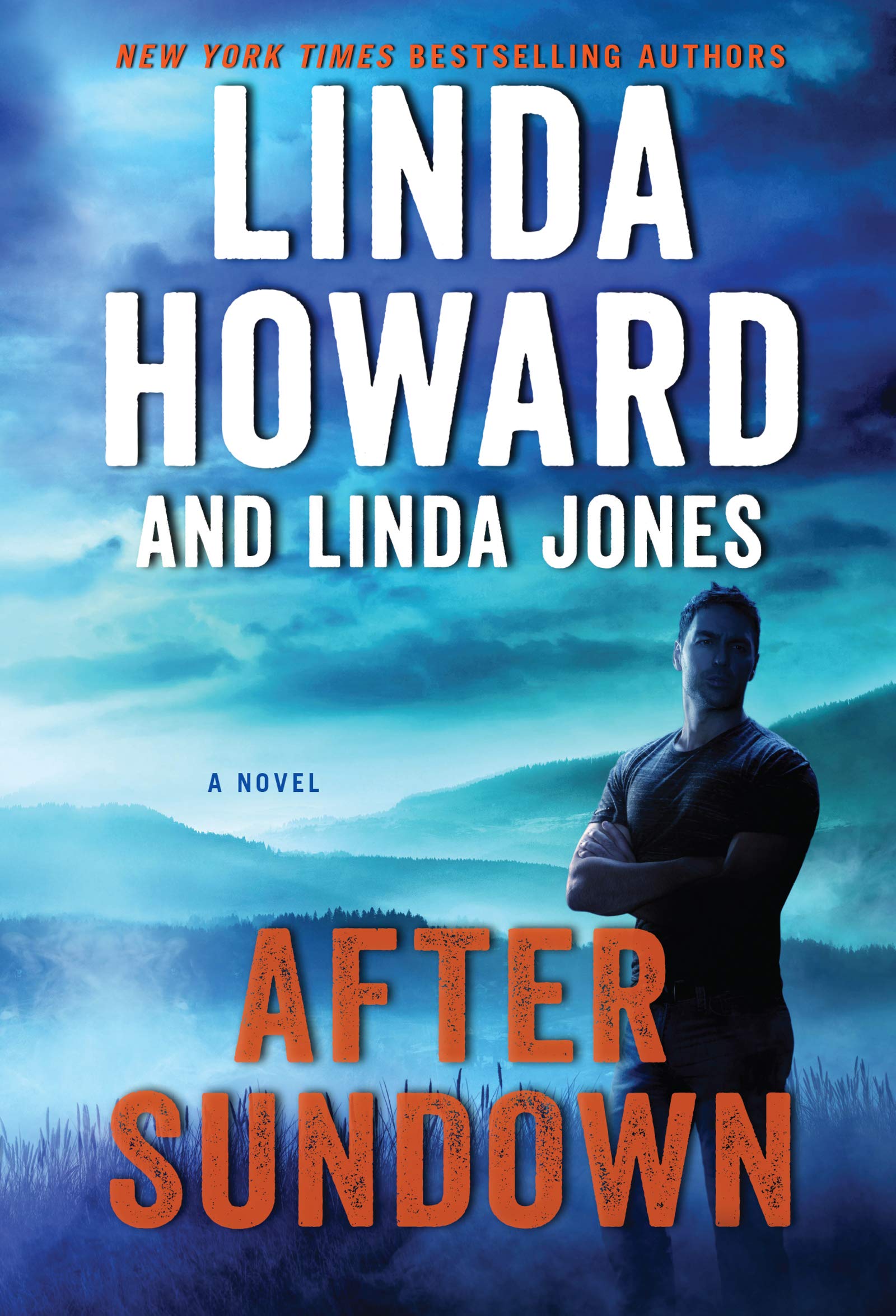 After Sundown: A Novel The Happy Book Stack