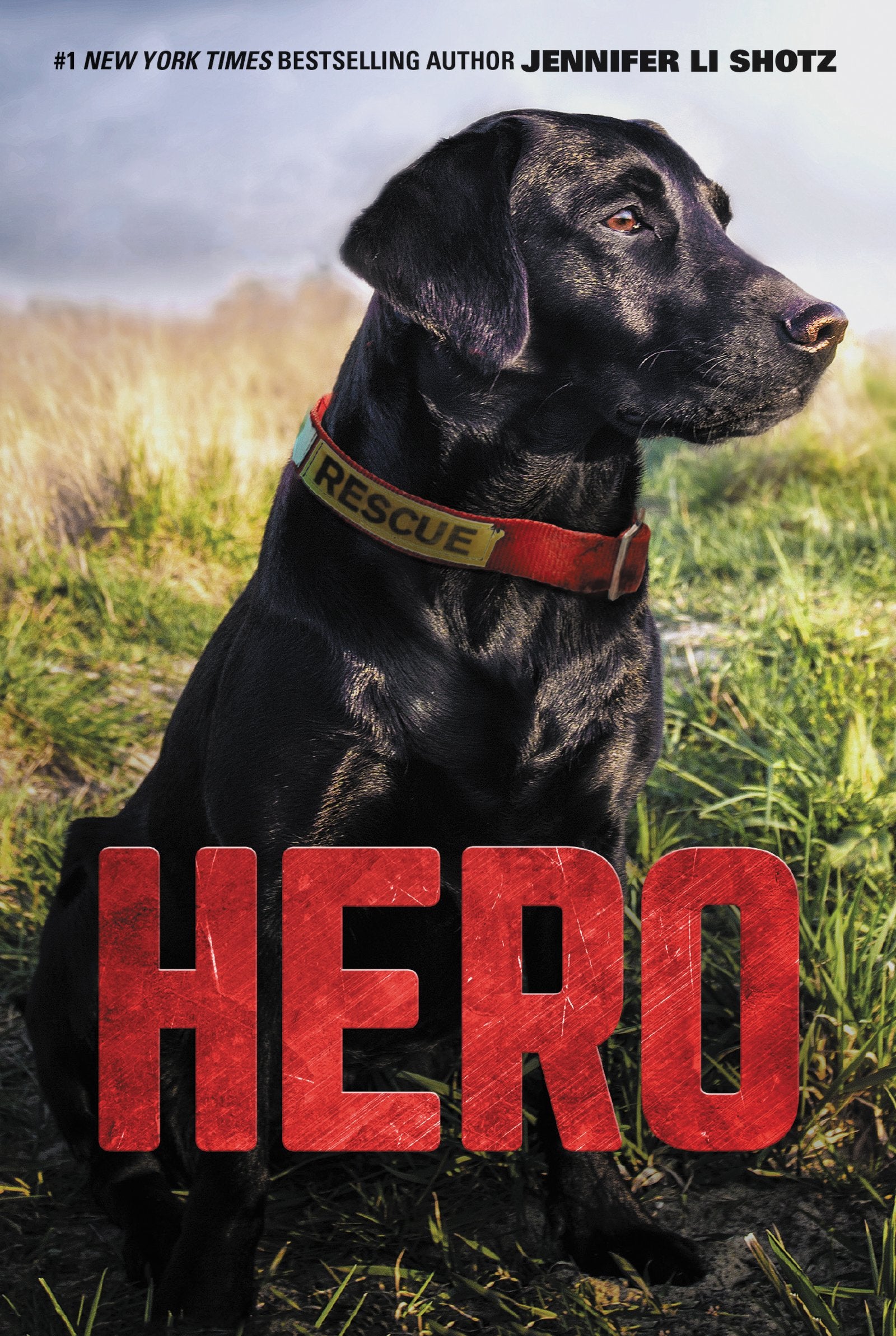 Hero: A Rescue Dog Adventure About Danger and Unbreakable Bonds for Kids (Ages 8-12) The Happy Book Stack