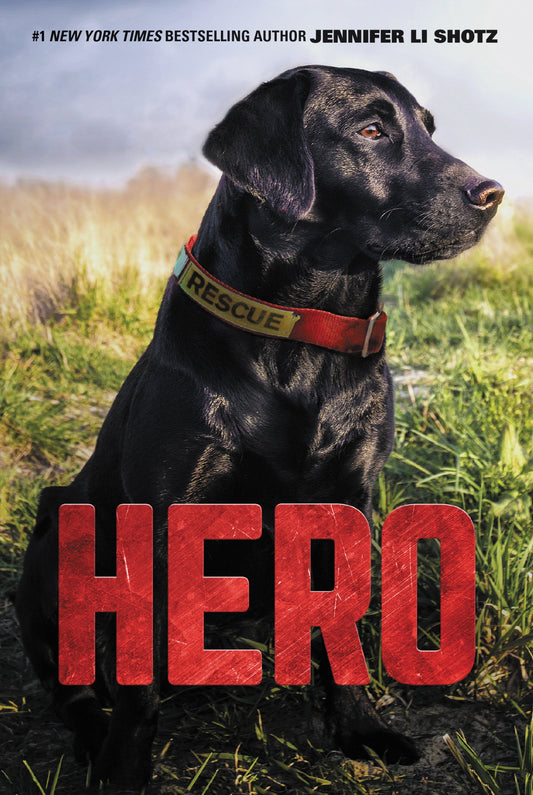 Hero: A Rescue Dog Adventure About Danger and Unbreakable Bonds for Kids (Ages 8-12) The Happy Book Stack