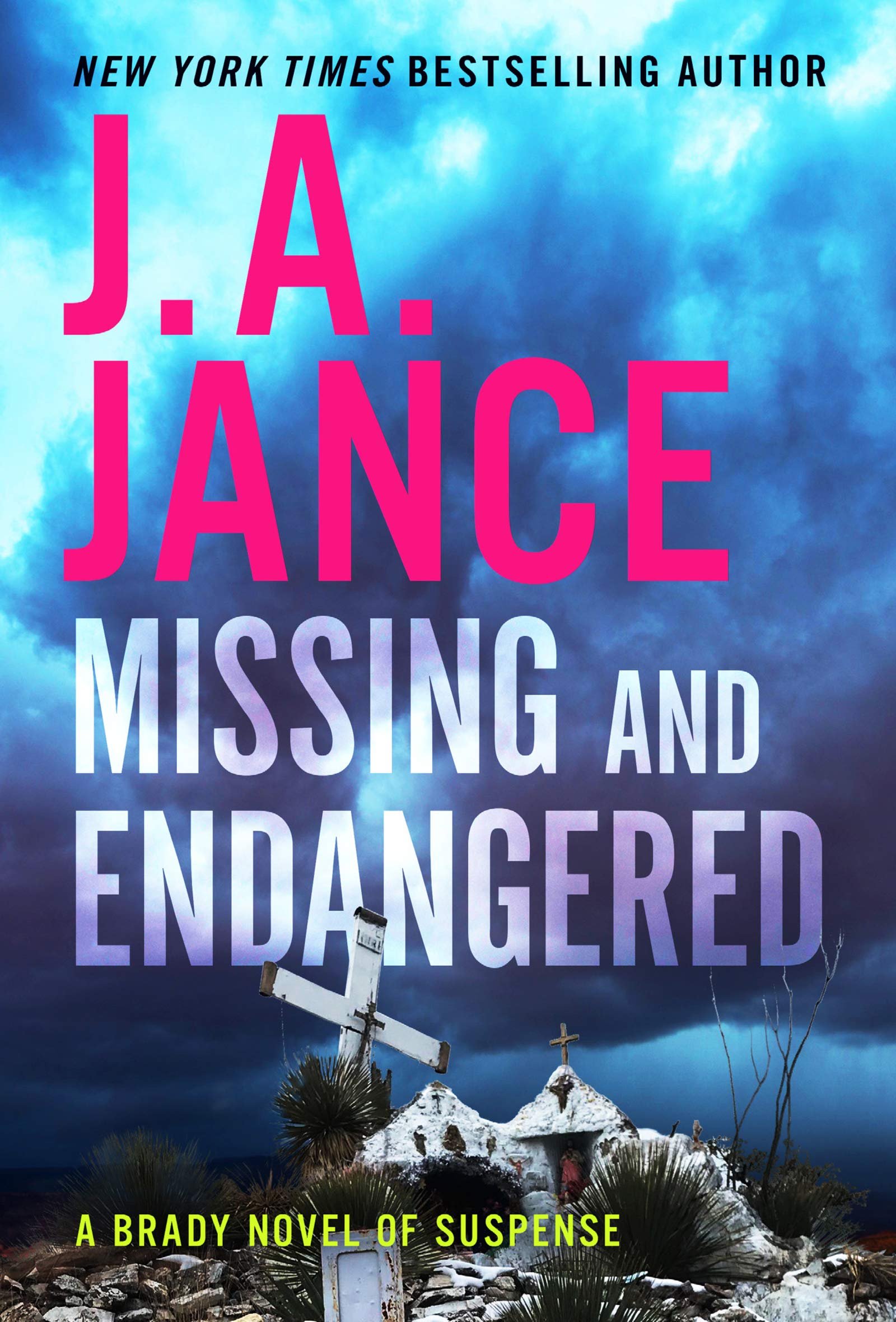 Missing and Endangered: A Brady Novel of Suspense The Happy Book Stack