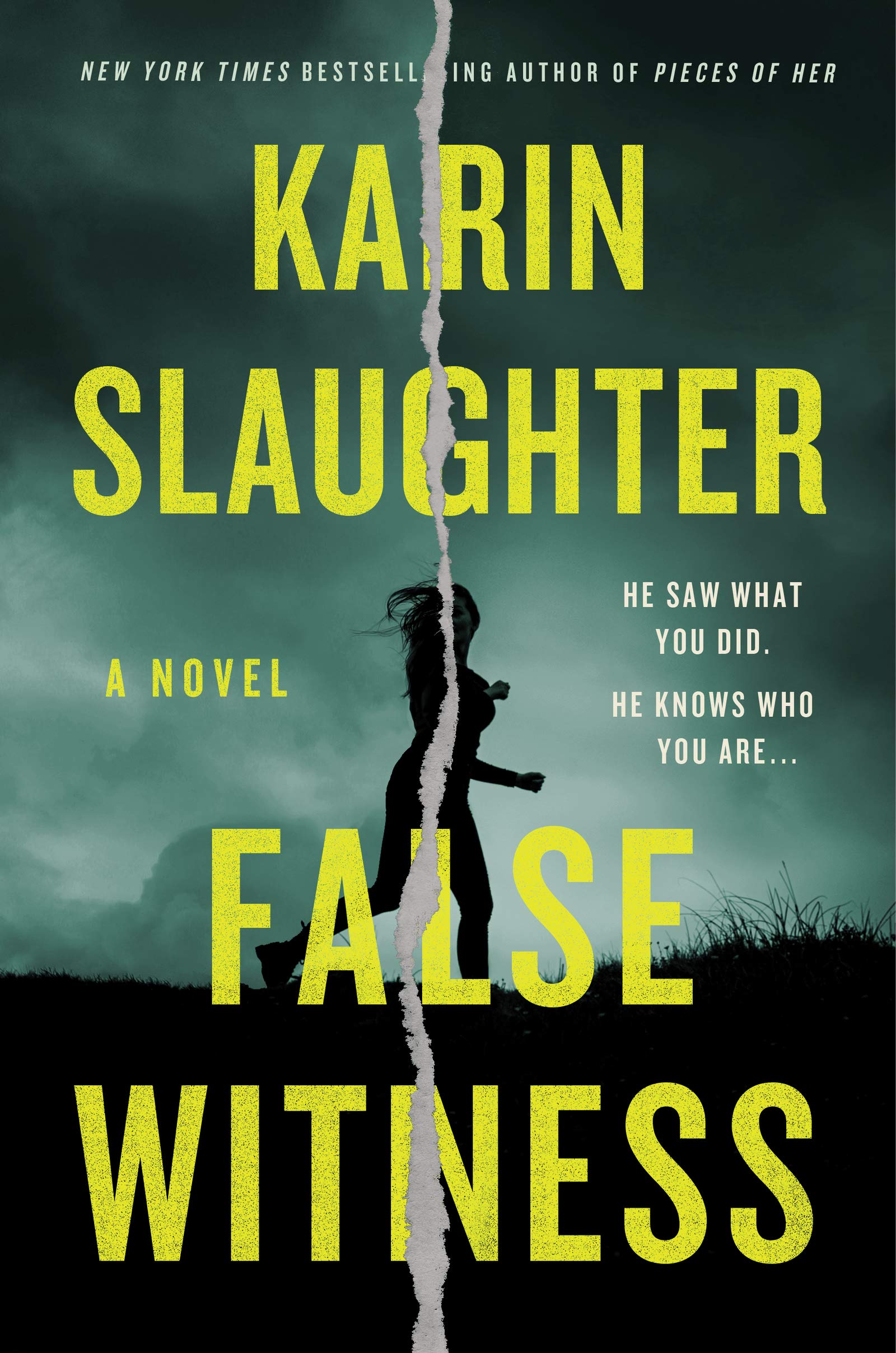 False Witness: A Novel The Happy Book Stack