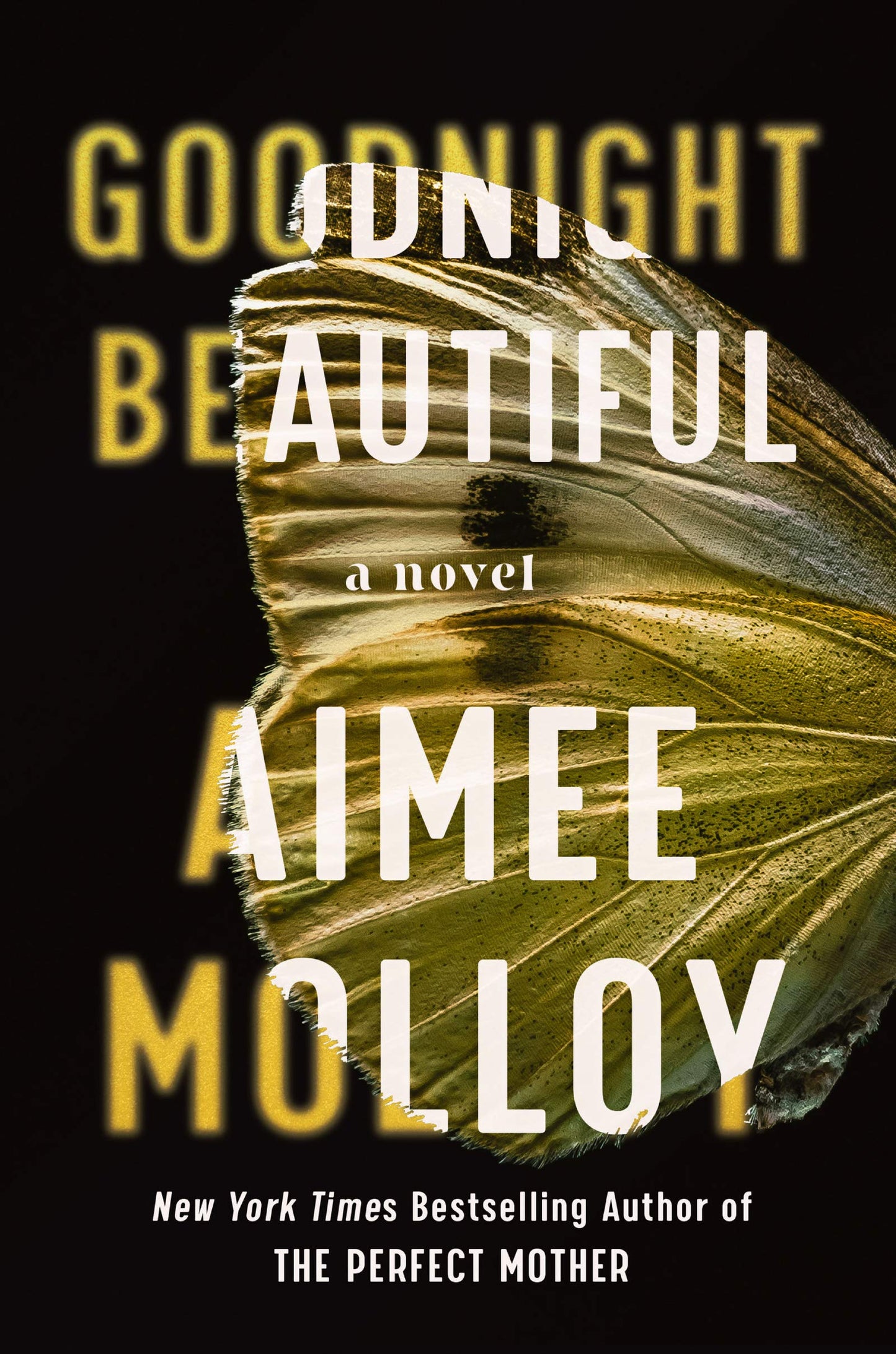 Goodnight Beautiful: A Novel The Happy Book Stack