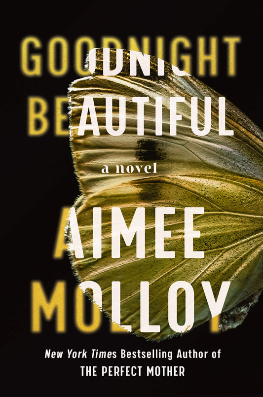 Goodnight Beautiful: A Novel The Happy Book Stack