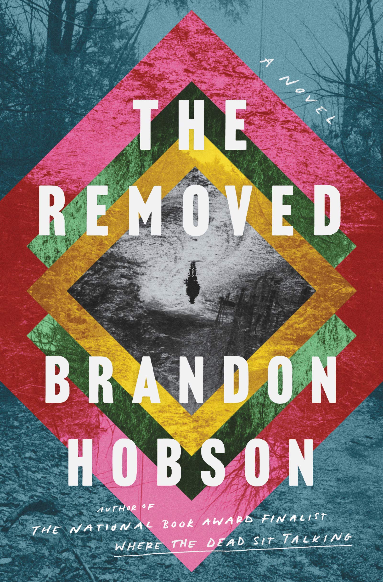 The Removed: A Haunting Story of Cherokee Folklore, Family Grief, and the Spirit World The Happy Book Stack