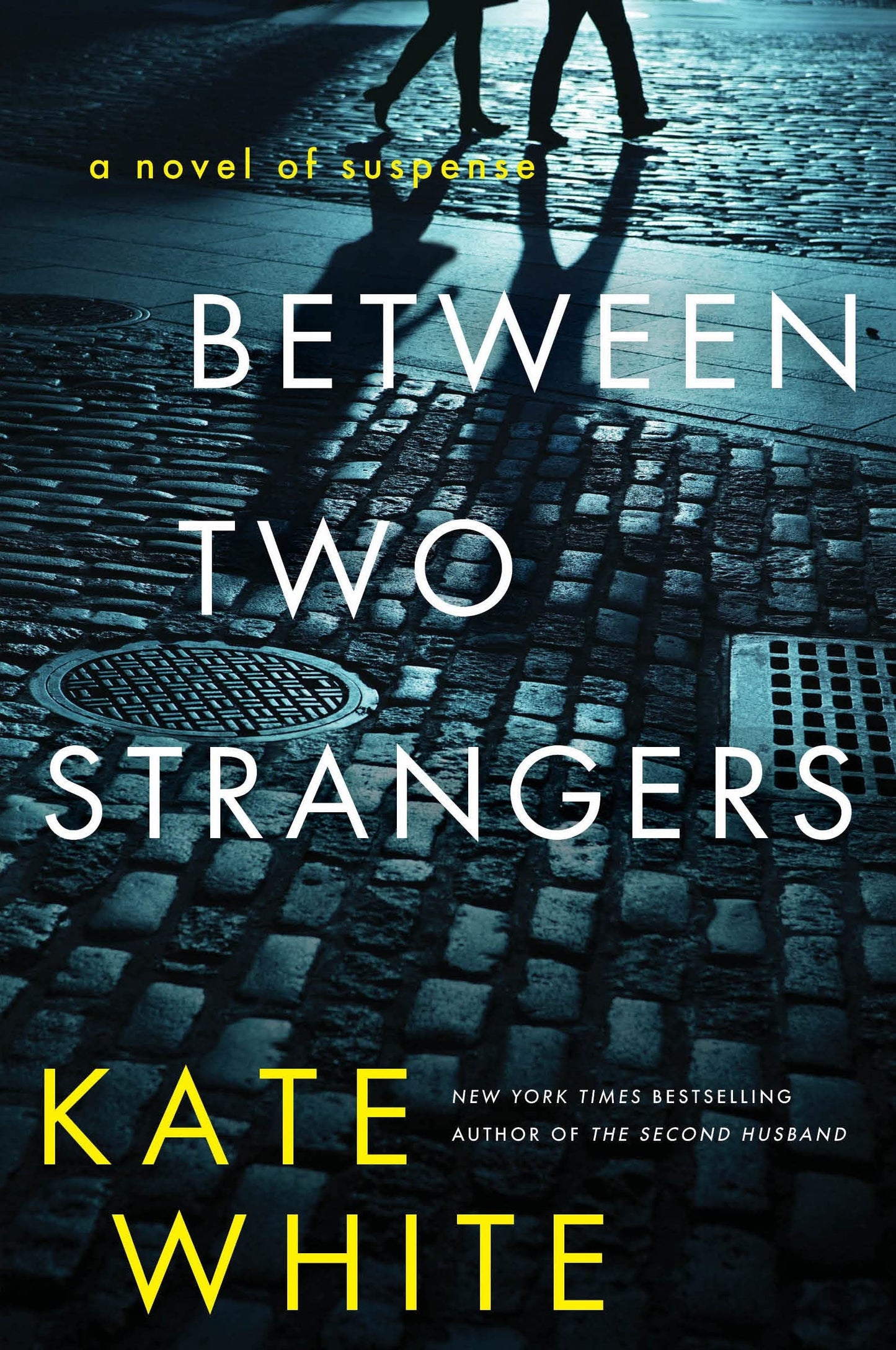 Between Two Strangers: A Novel of Suspense The Happy Book Stack