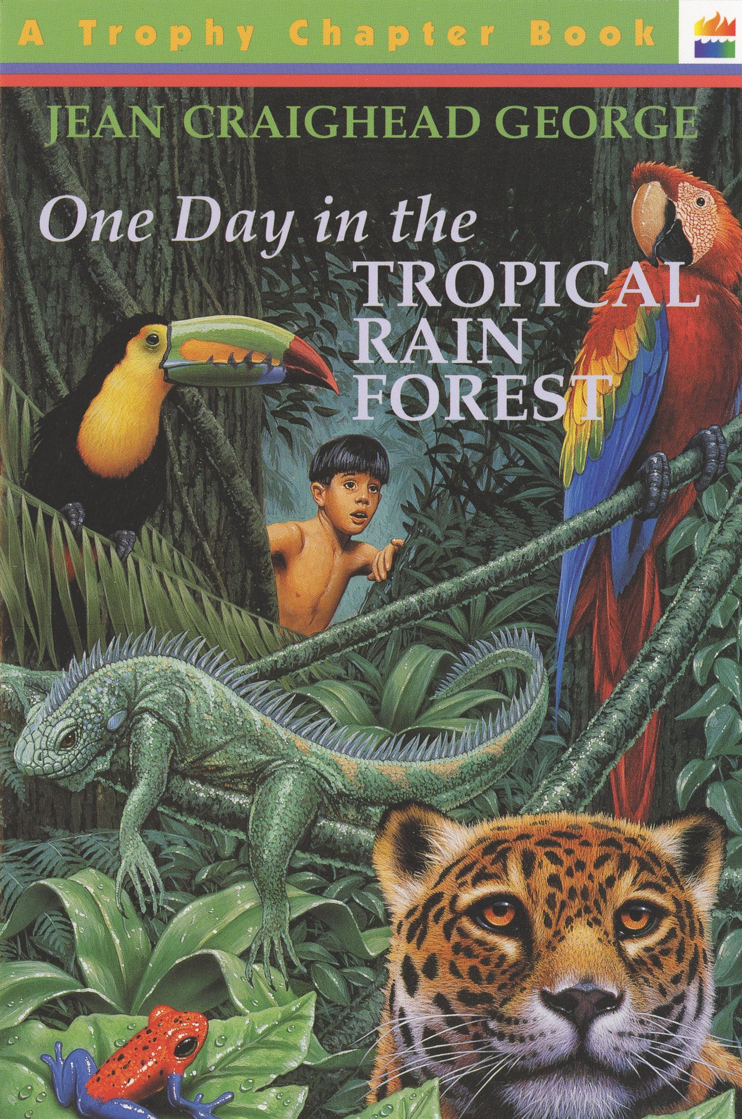 One Day in the Tropical Rain Forest - 6551