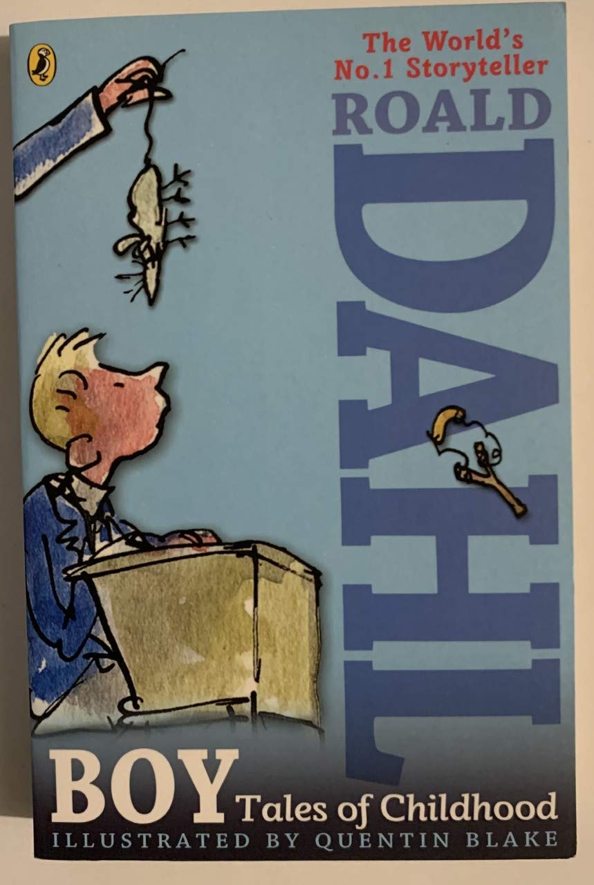 Roald Dahl Boy Tales Of Childhood The Happy Book Stack