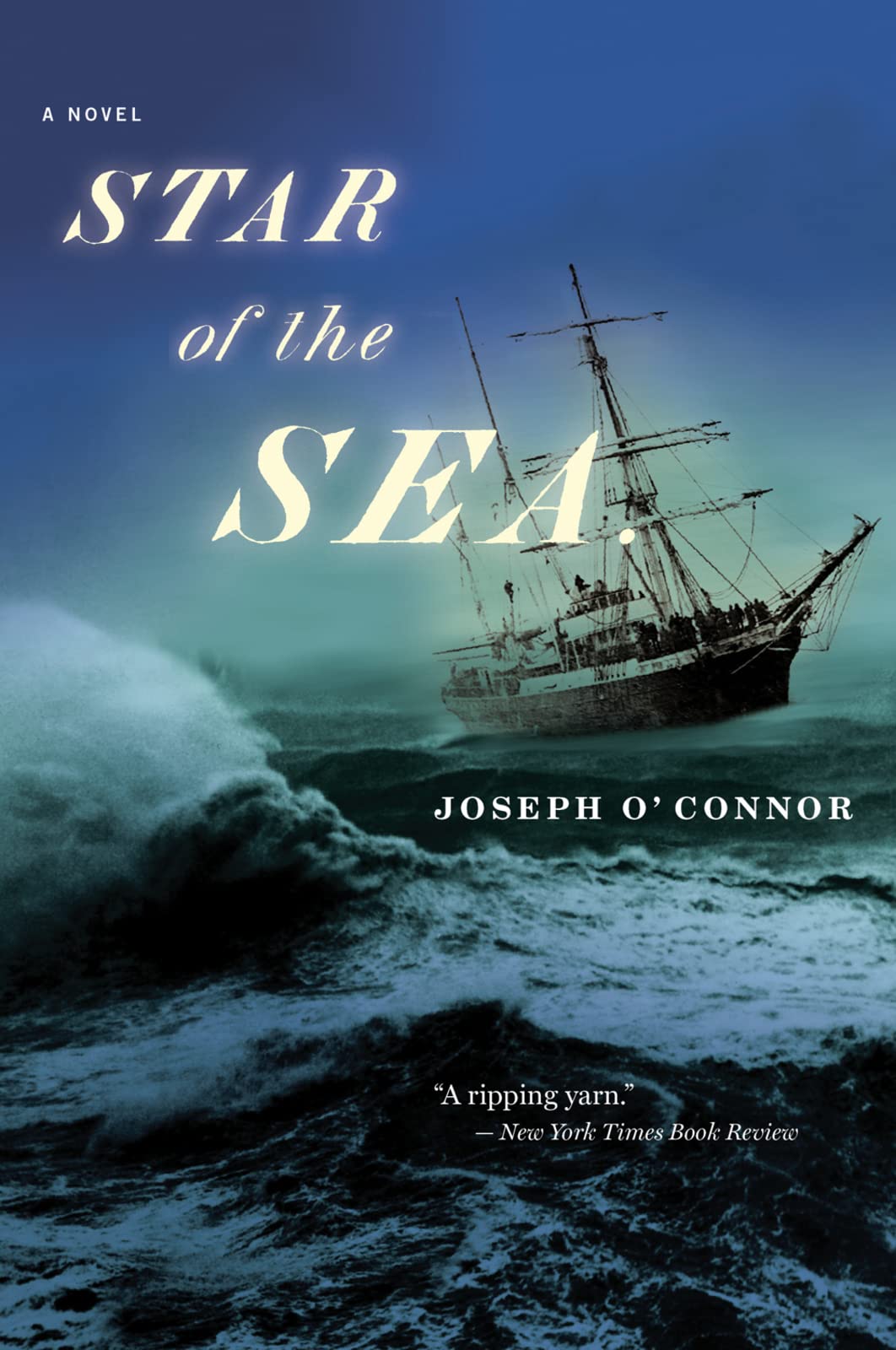 Star Of The Sea: A New York Times Notable Historical Thriller of Ireland's Famine and Dark Secrets The Happy Book Stack