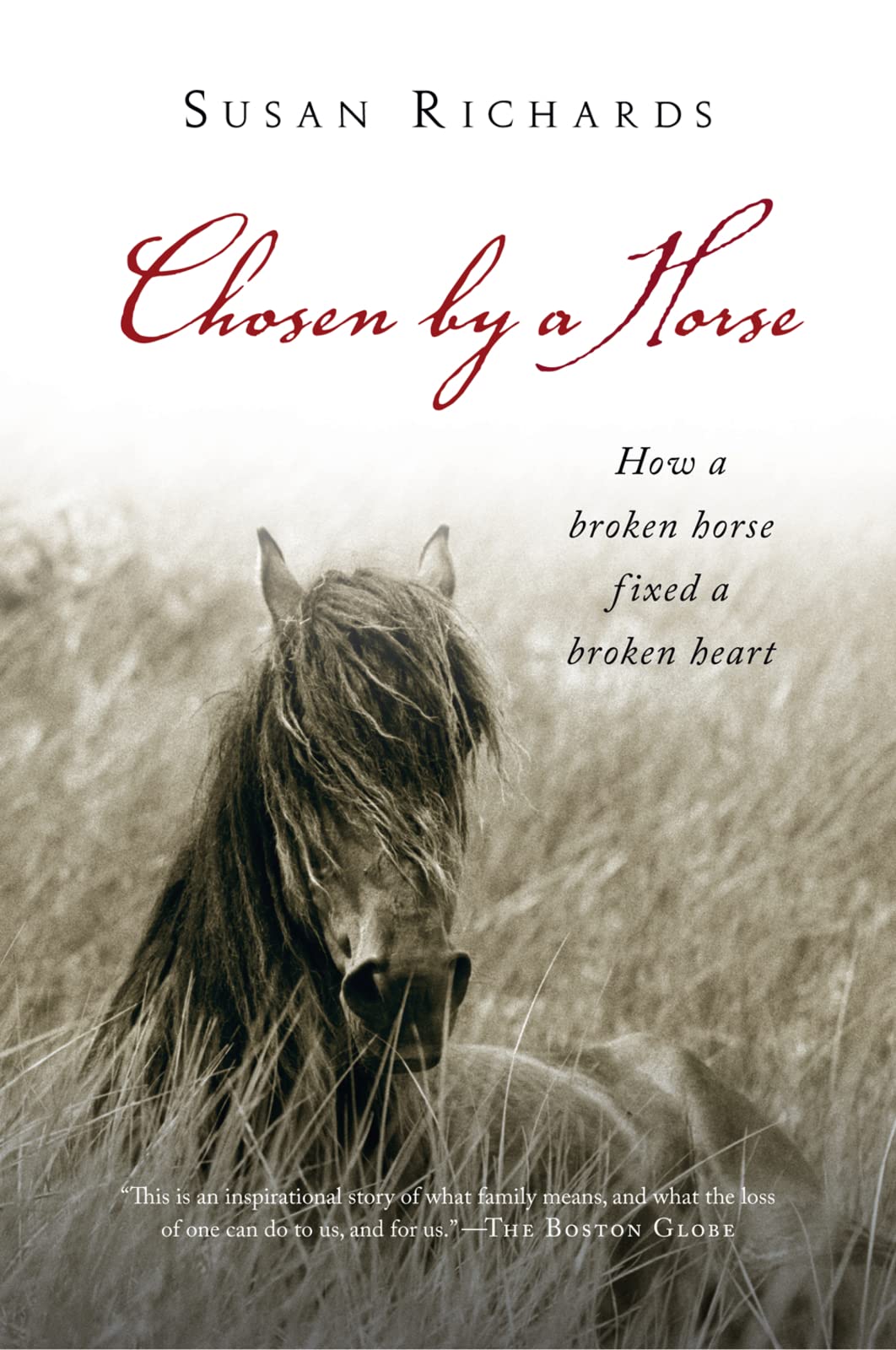 Chosen By A Horse: An Inspiring Memoir of Rescue, Hope, and the Healing Power of Love The Happy Book Stack