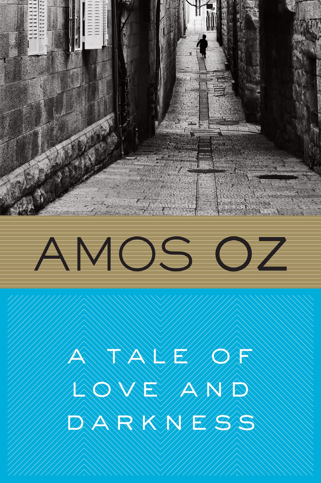 A Tale Of Love And Darkness The Happy Book Stack
