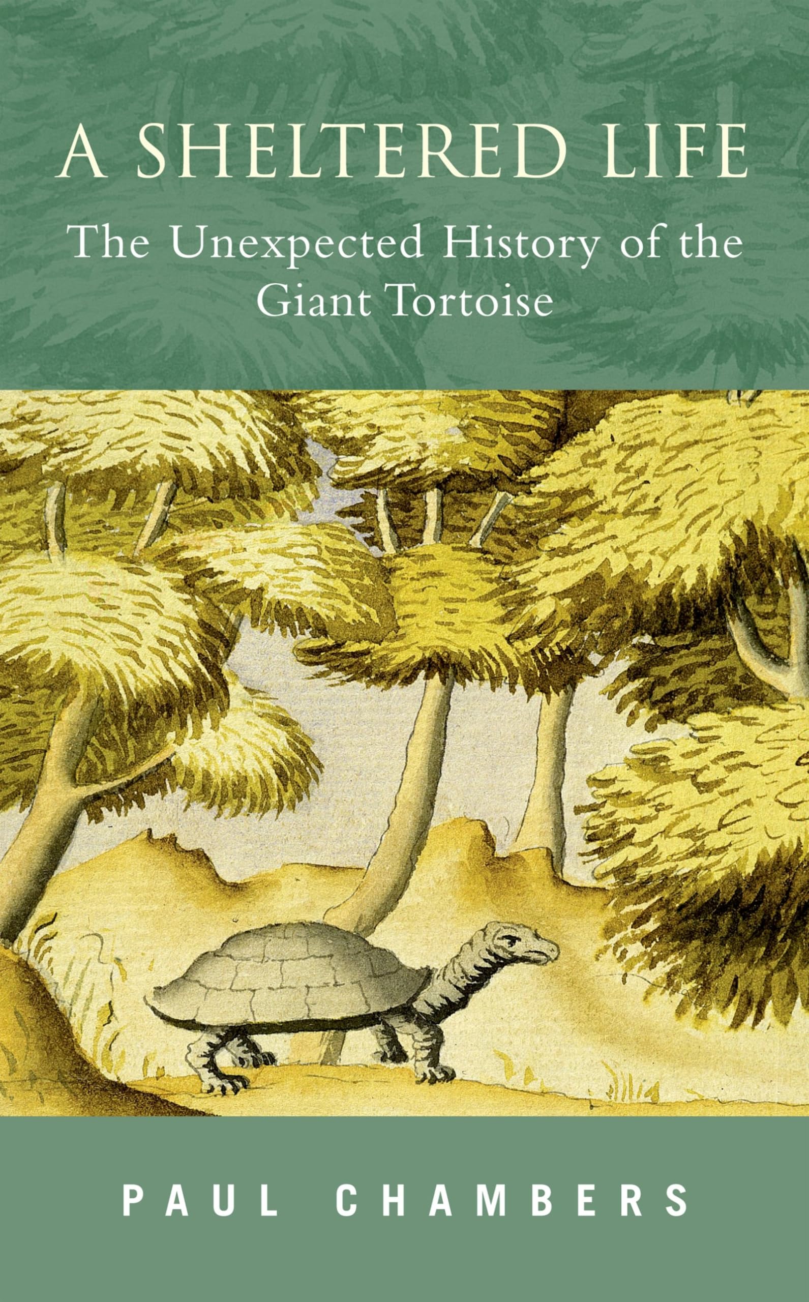A Sheltered Life: The Unexpected History of the Giant Tortoise The Happy Book Stack