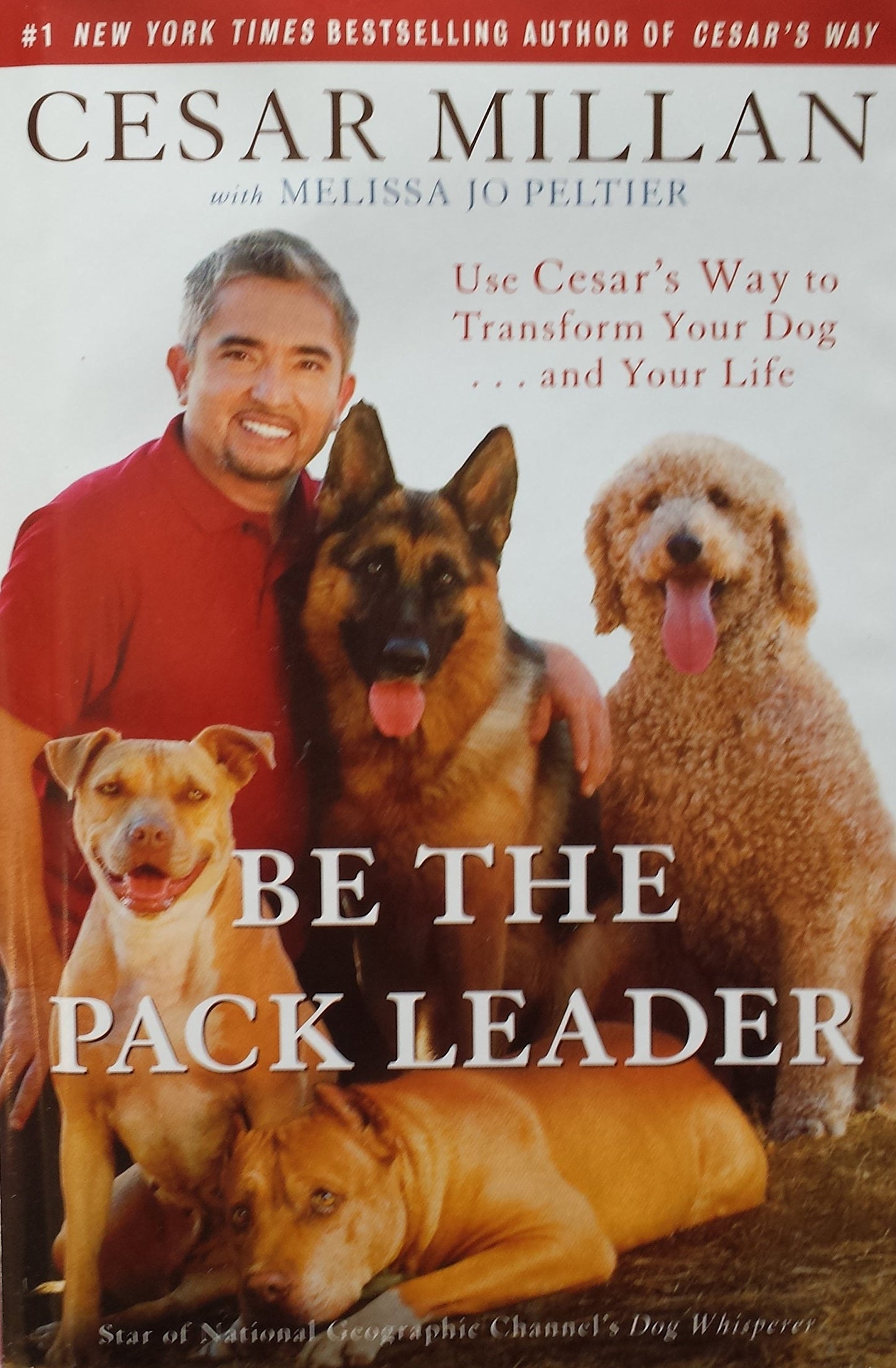 Be the Pack Leader: Use Cesar's Way to Transform Your Dog . . . and Your Life The Happy Book Stack