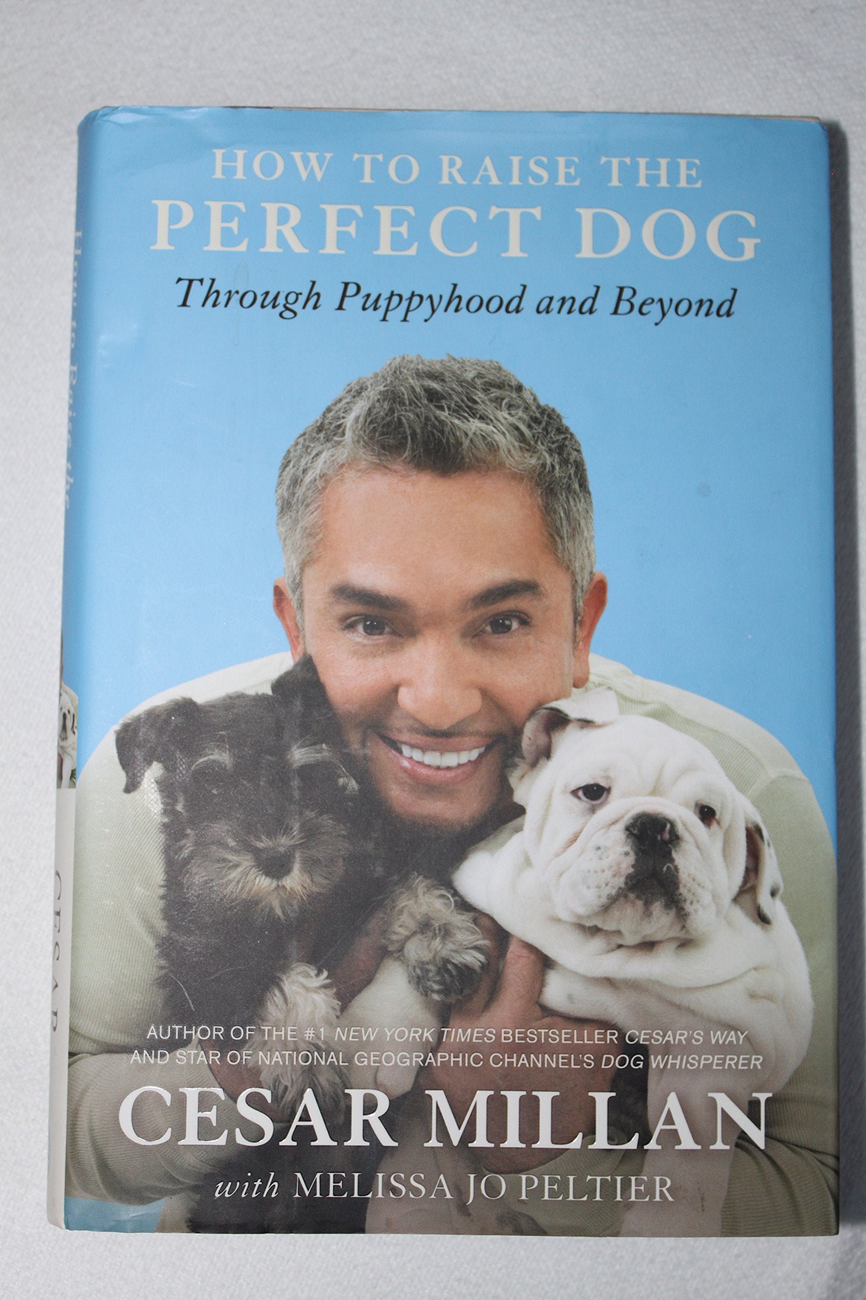 How to Raise the Perfect Dog: Through Puppyhood and Beyond The Happy Book Stack