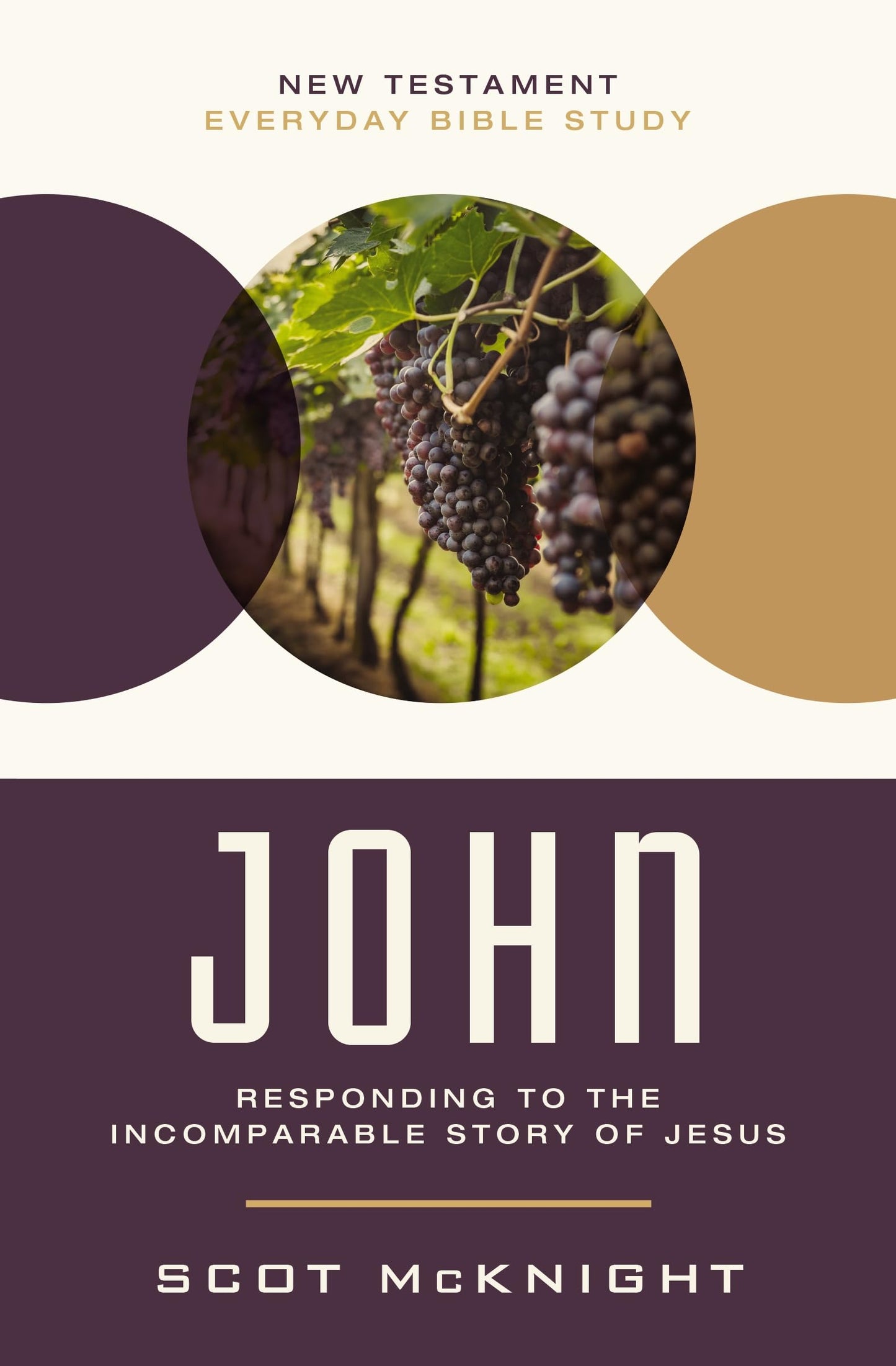 John: Responding to the Incomparable Story of Jesus (New Testament Everyday Bible Study Series) The Happy Book Stack