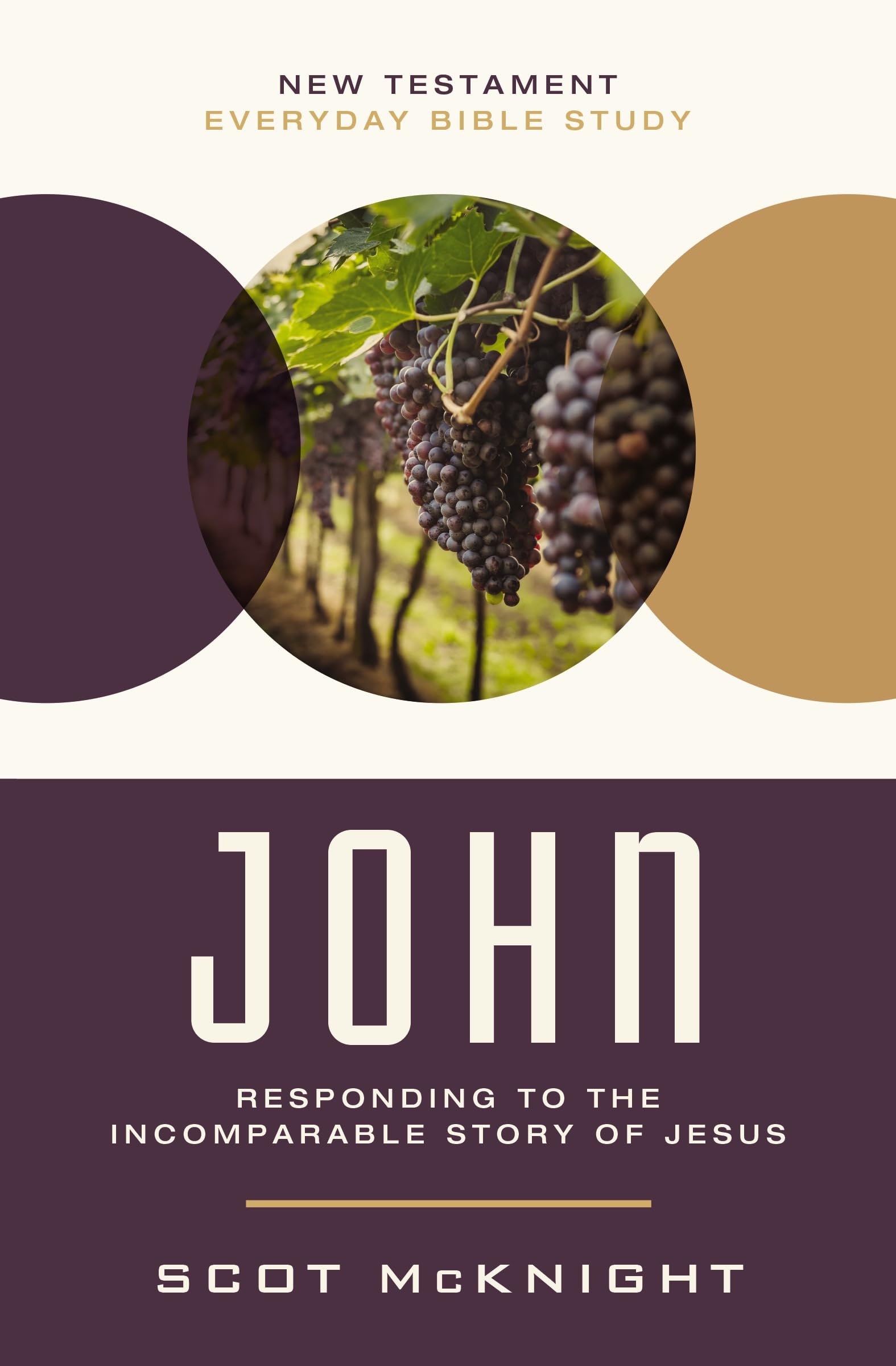 John: Responding to the Incomparable Story of Jesus (New Testament Everyday Bible Study Series) The Happy Book Stack