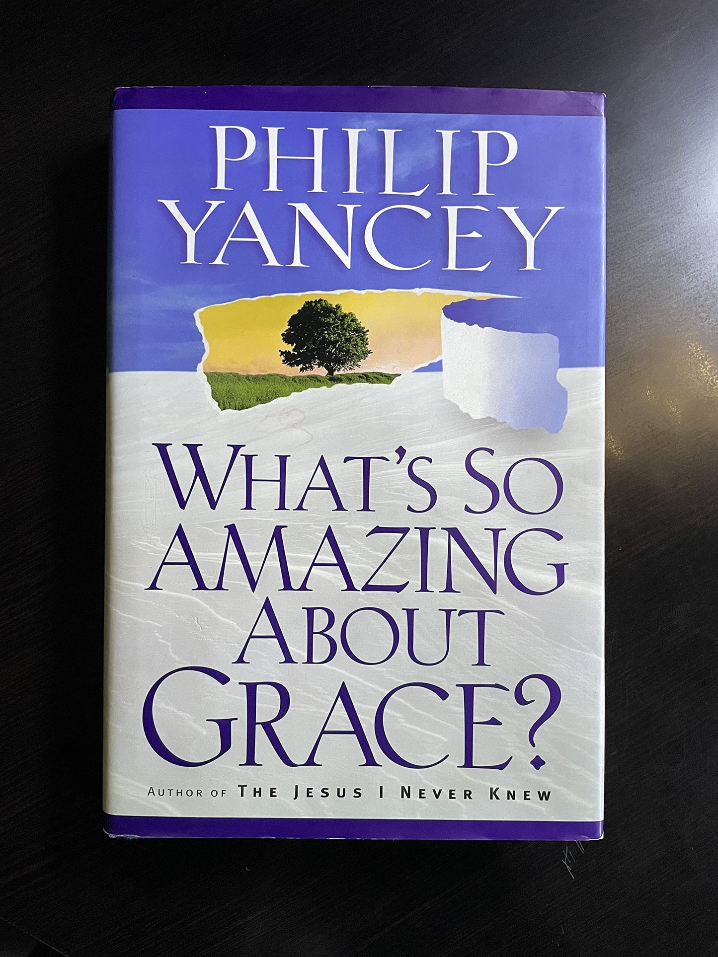 What's So Amazing About Grace? - 9583
