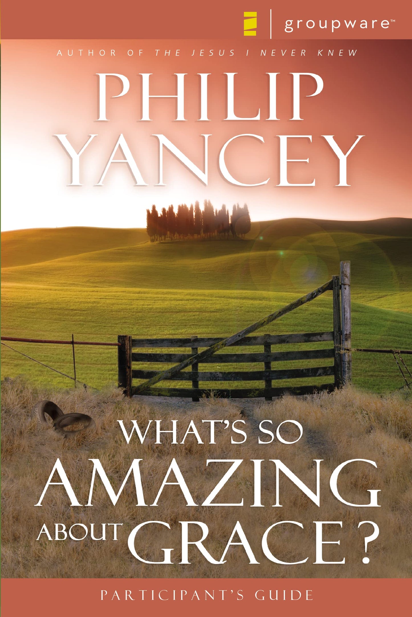 What's So Amazing About Grace? Participant's Guide The Happy Book Stack