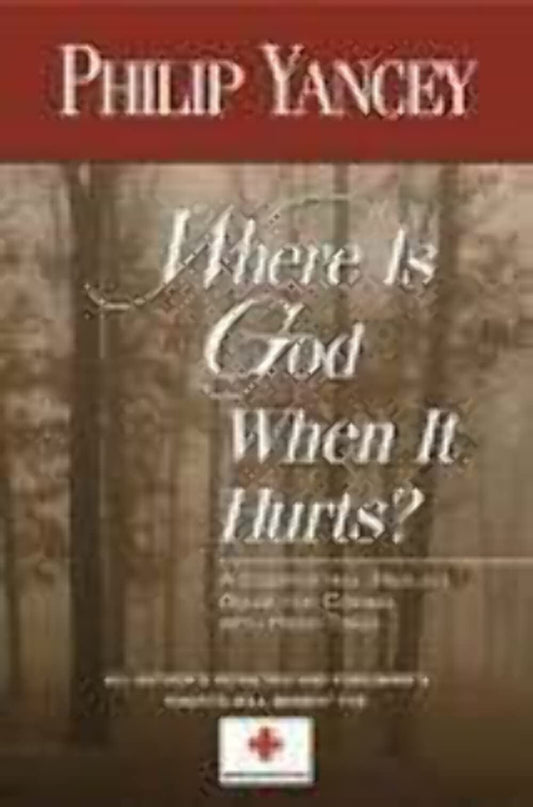 Where Is God When It Hurts? The Happy Book Stack