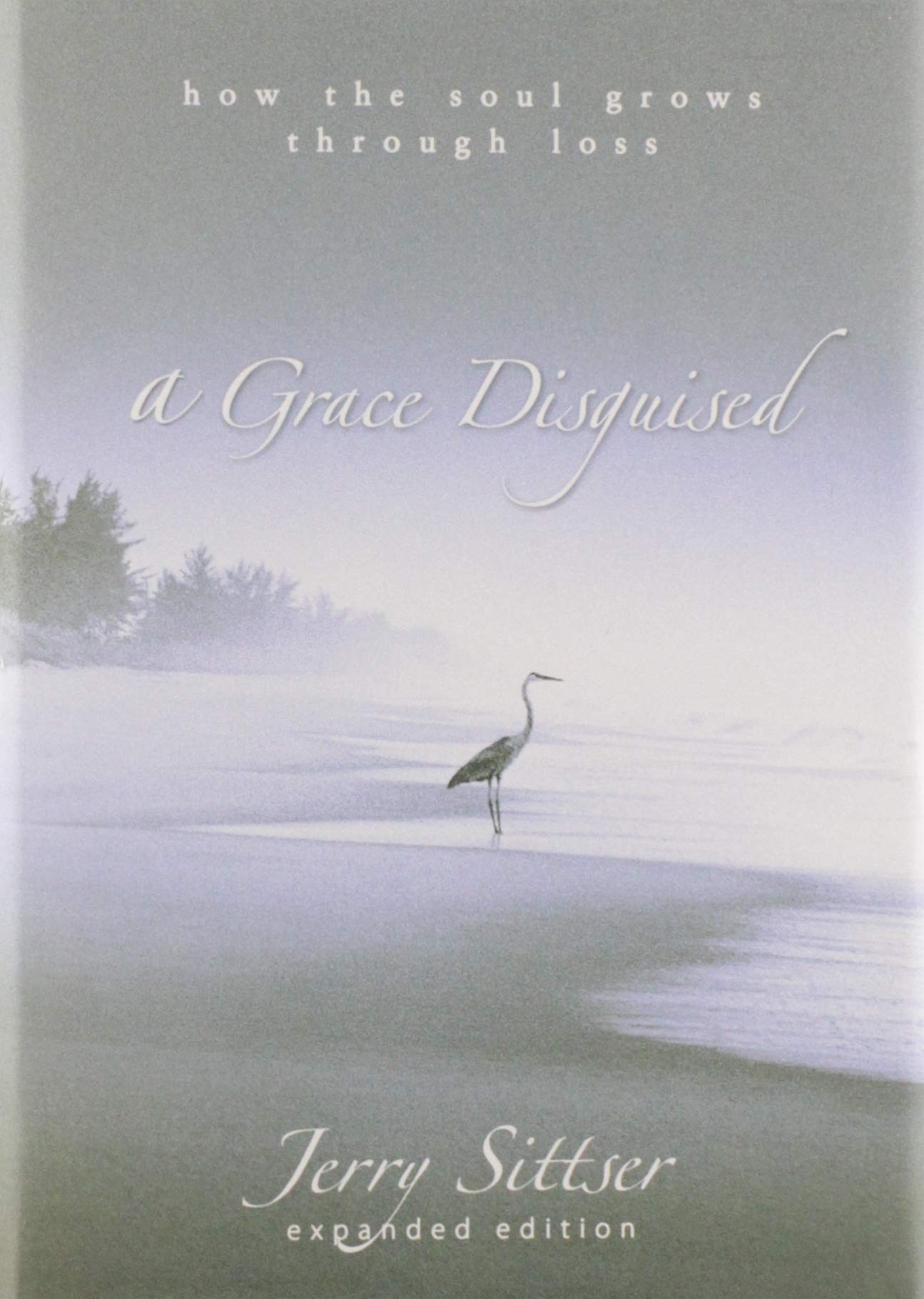 A Grace Disguised: How the Soul Grows through Loss The Happy Book Stack