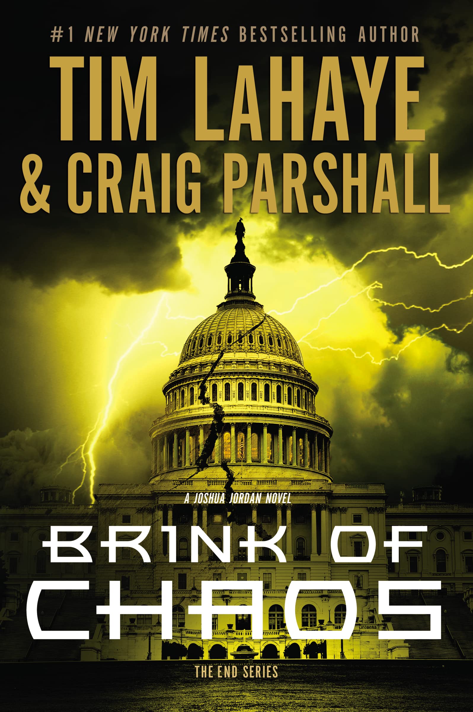 Brink of Chaos (The End Series) The Happy Book Stack