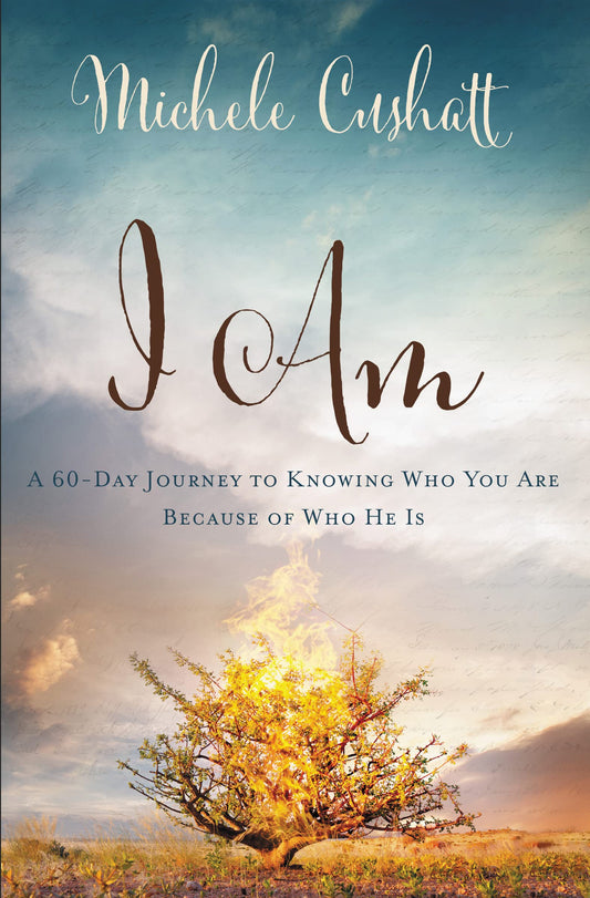 I Am: A 60-Day Journey to Knowing Who You Are Because of Who He Is The Happy Book Stack