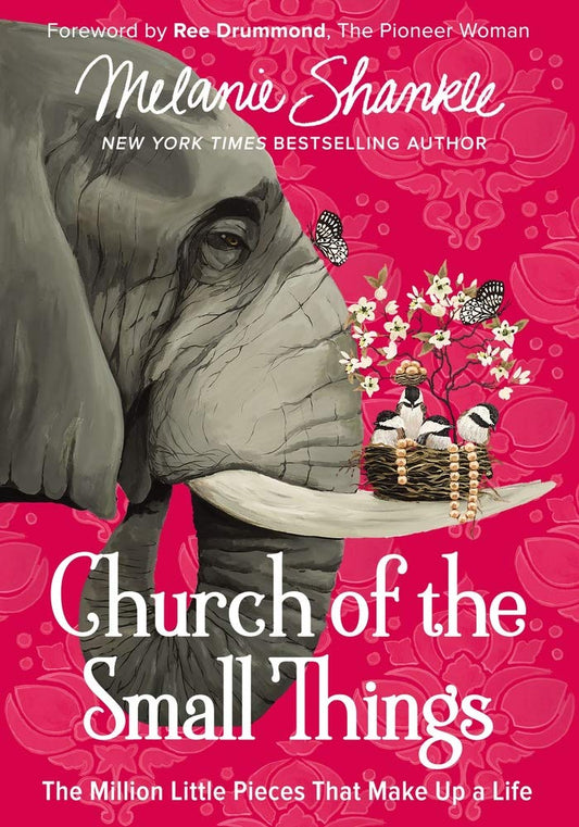 Church of the Small Things: The Million Little Pieces That Make Up a Life The Happy Book Stack