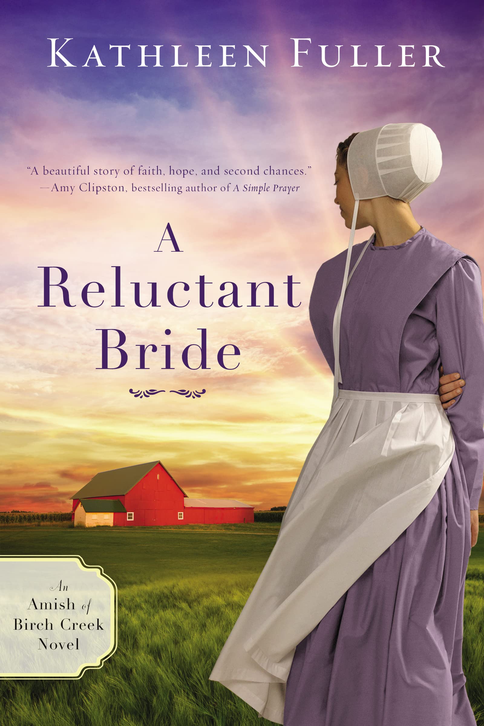 A Reluctant Bride (An Amish of Birch Creek Novel) The Happy Book Stack