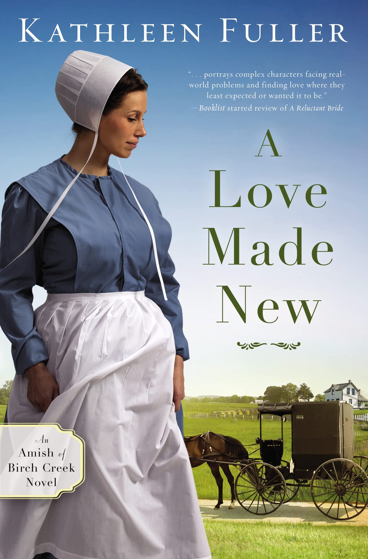A Love Made New (An Amish of Birch Creek Novel) The Happy Book Stack