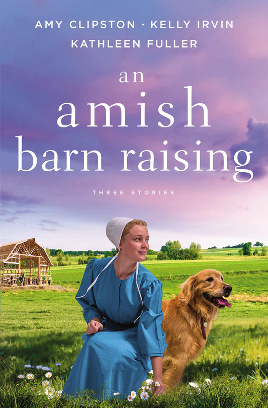 An Amish Barn Raising: Three Stories The Happy Book Stack