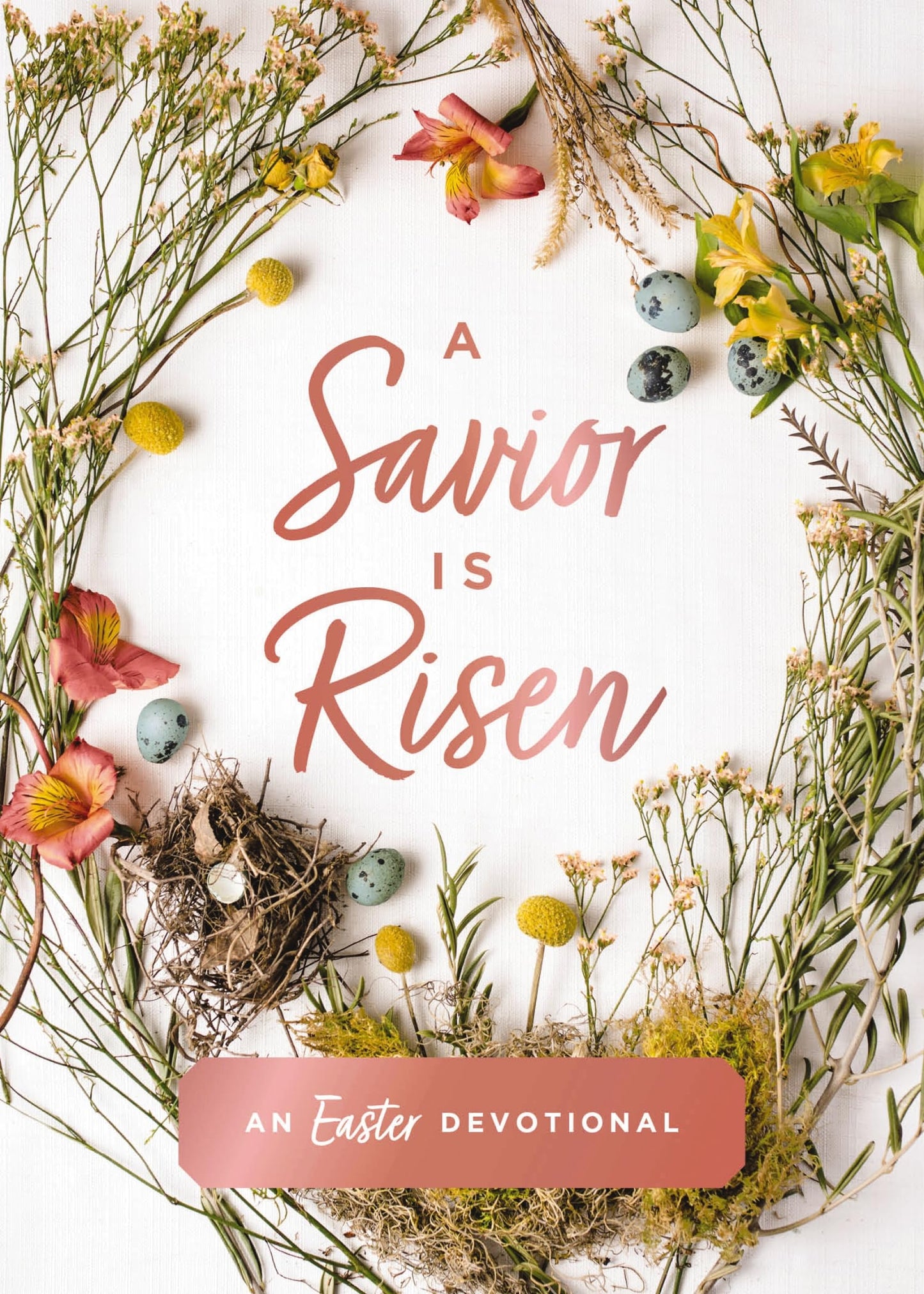 A Savior Is Risen: An Easter Devotional (40 Daily Devotions for Lent) - 4049