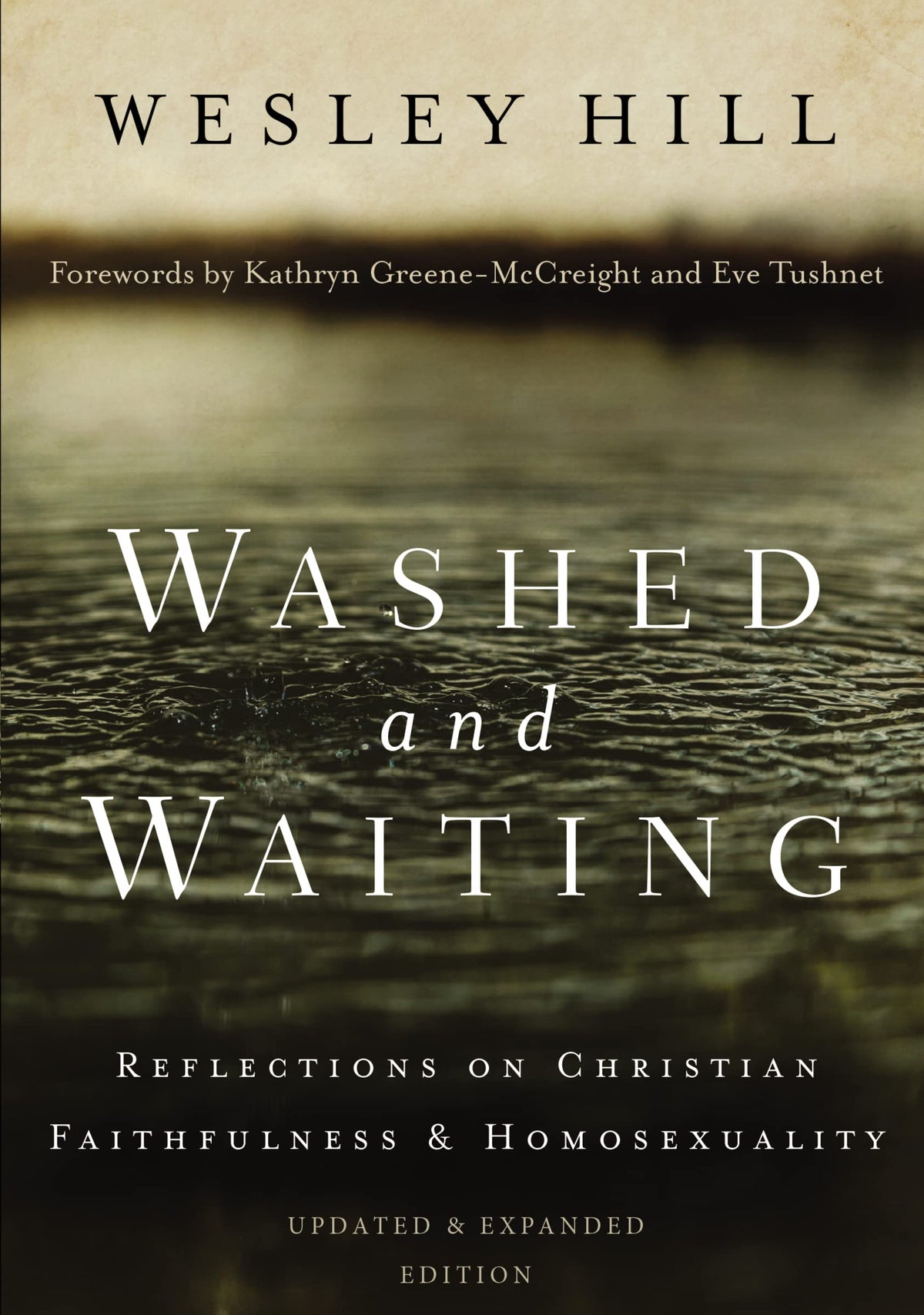 Washed and Waiting: Reflections on Christian Faithfulness and Homosexuality The Happy Book Stack