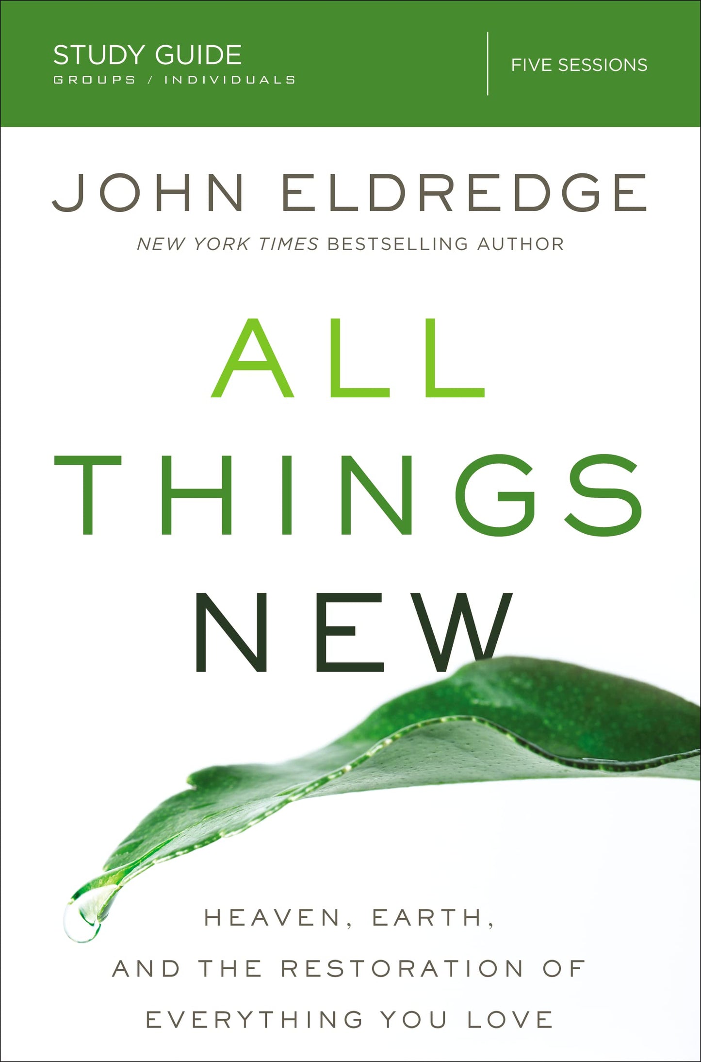 All Things New Study Guide: Heaven, Earth, and the Restoration of Everything you Love The Happy Book Stack