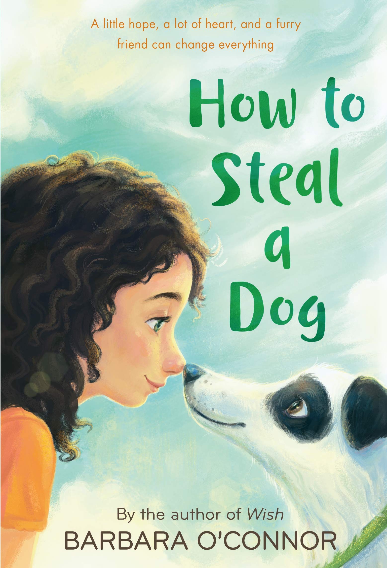 How to Steal a Dog The Happy Book Stack
