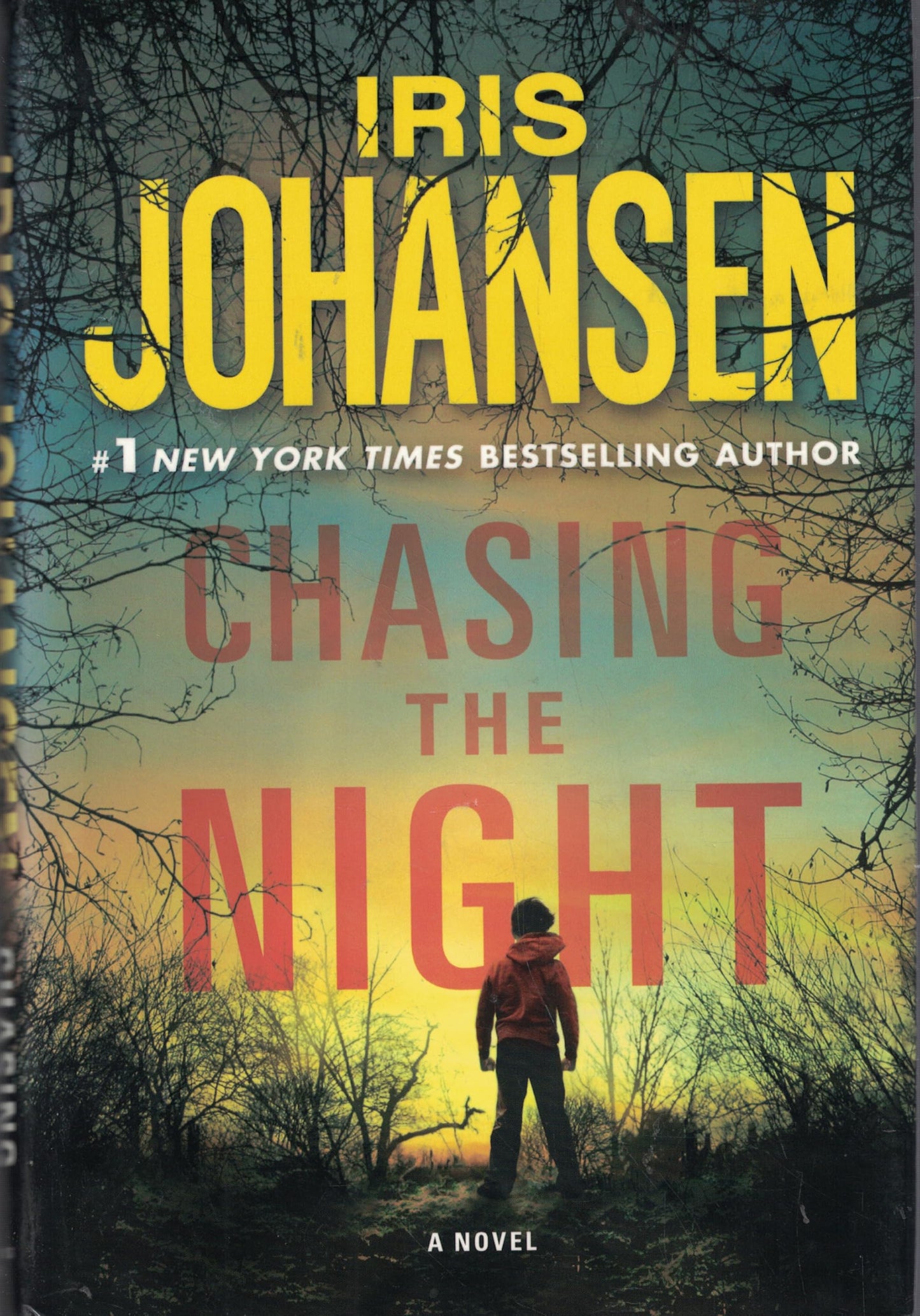 Chasing the Night The Happy Book Stack
