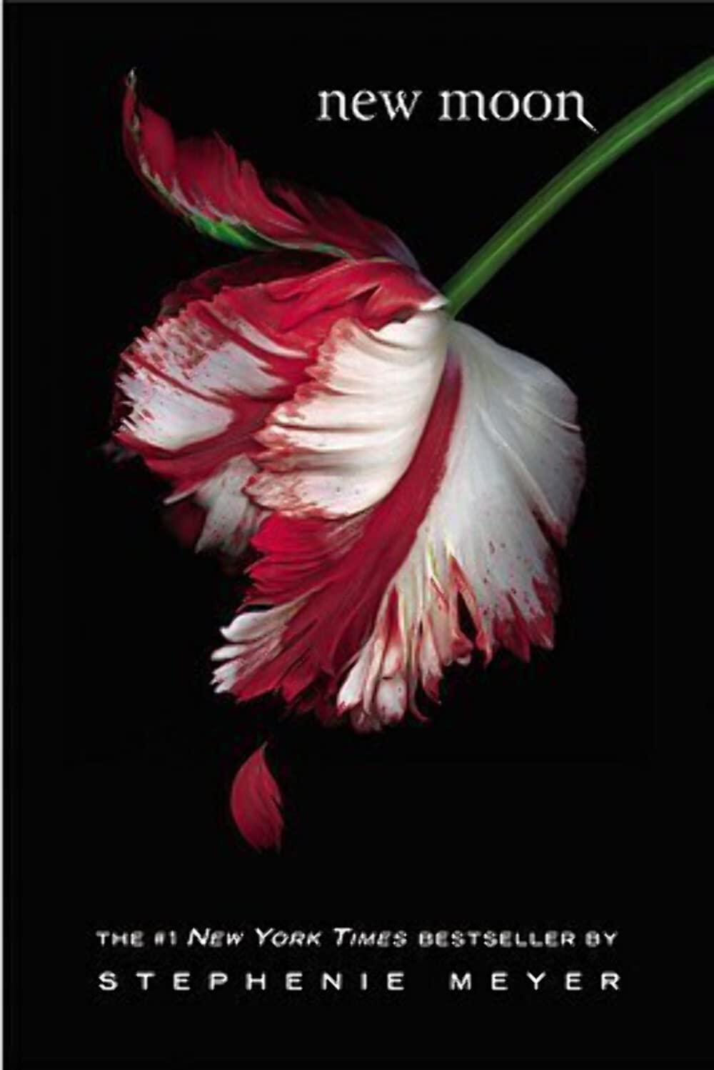 New Moon (The Twilight Saga) - 8899