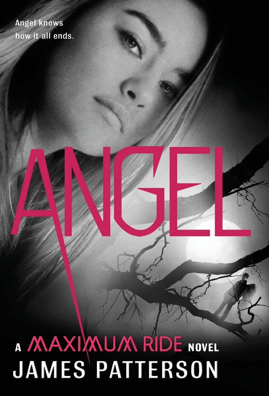 Angel: A Maximum Ride Novel The Happy Book Stack